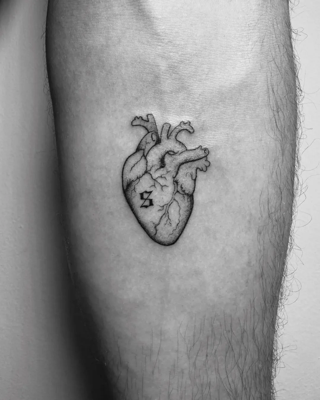Fine Line tattoo by Daniel Winter: anatomical heart, anatomy, minimal, medical