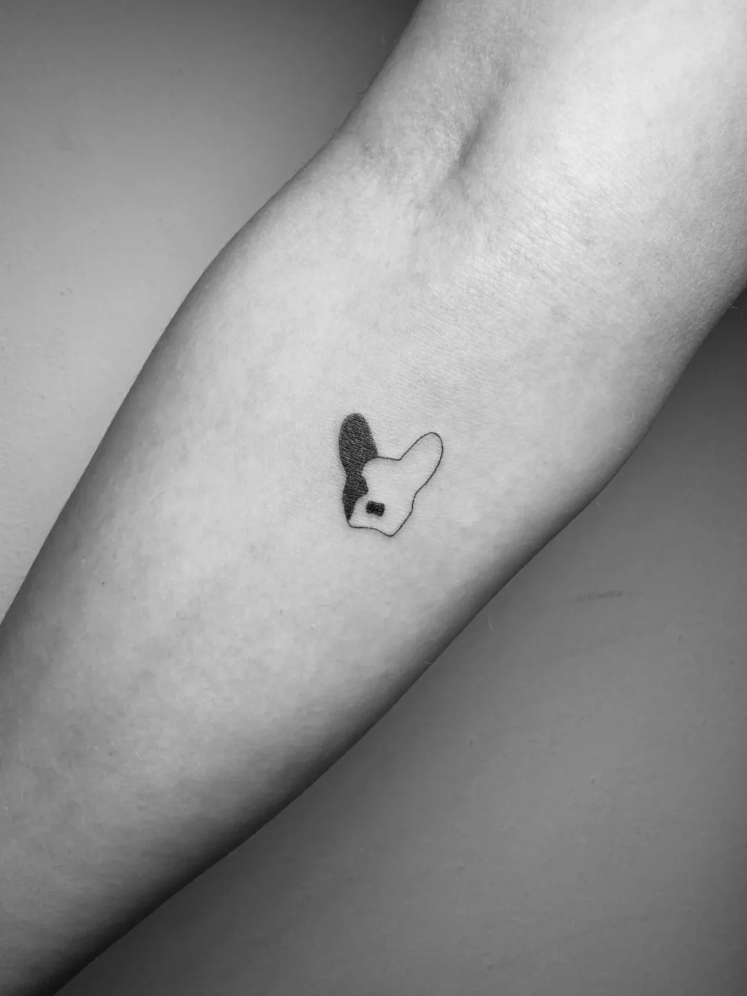 Fine Line tattoo by Daniel Winter: dog face, french bulldog, animal, minimalism