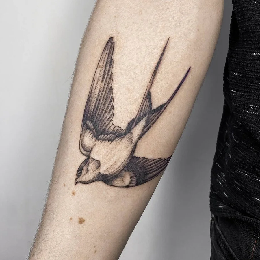 Black & Gray Realism tattoo by kisha.tattoo: swallow, bird, wing, nature
