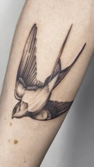 Realistic Swallow Forearm