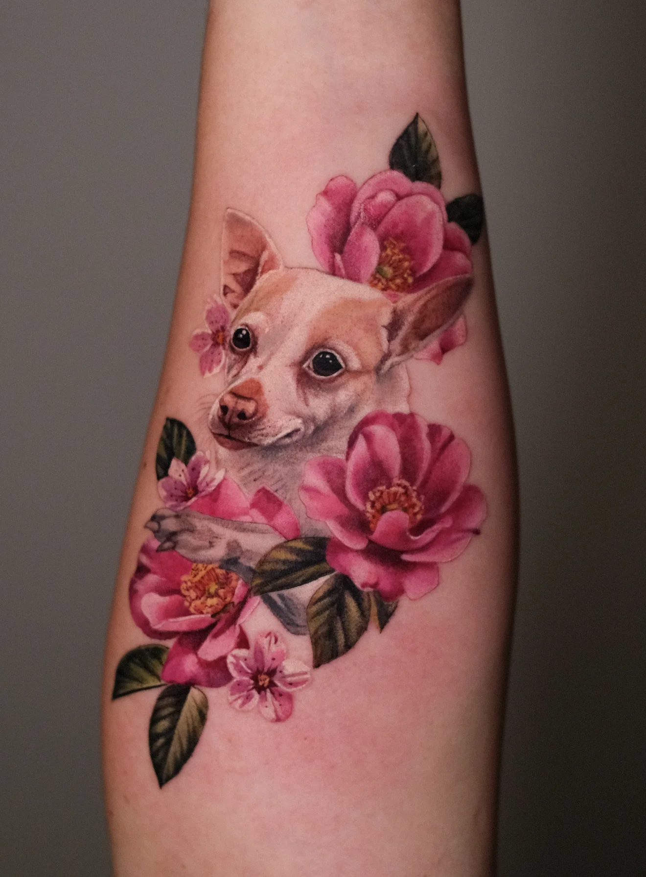 Color Realism tattoo by Valeriatattooing: dog, flower, leaf, animal
