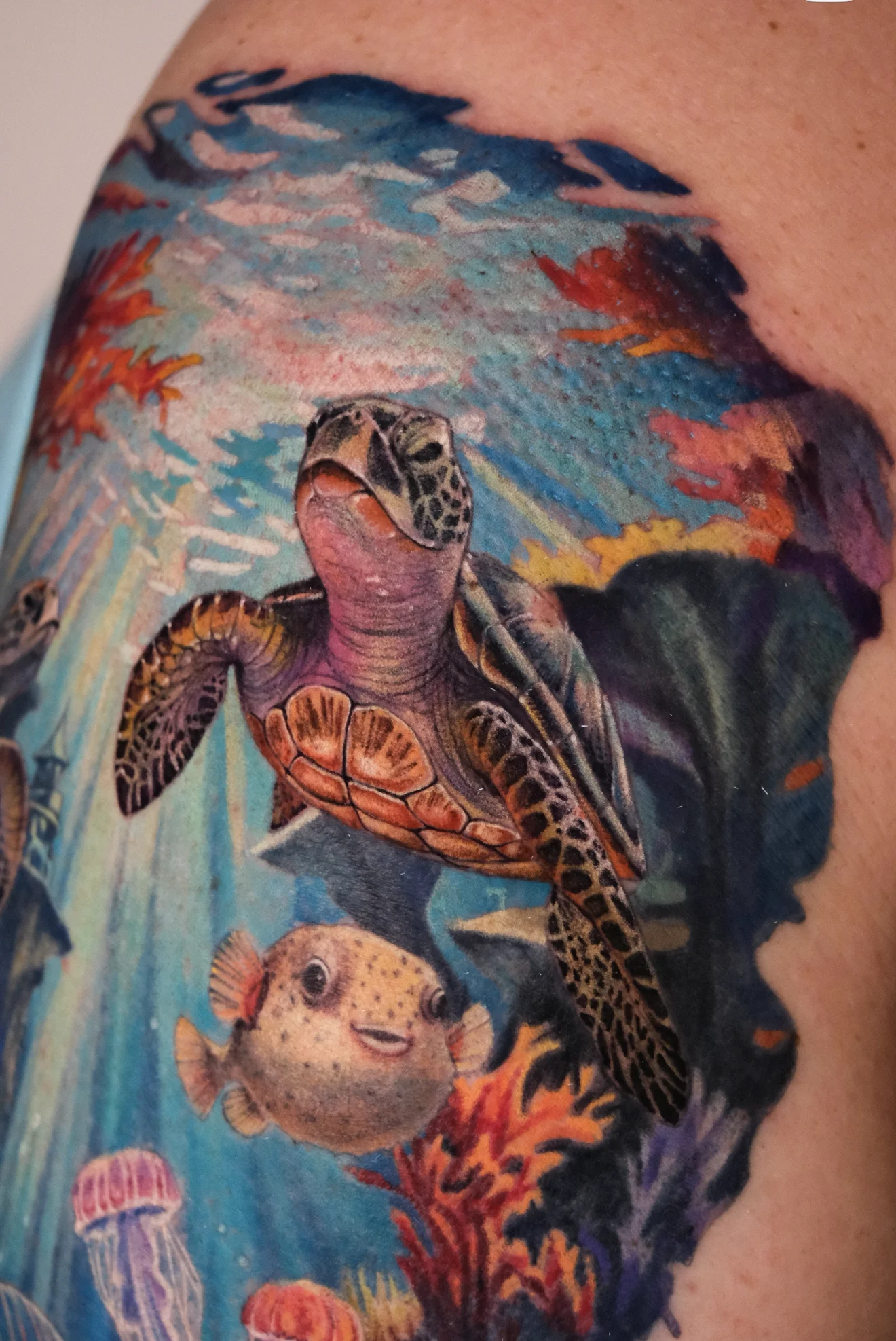 Color Realism tattoo by Valeriatattooing: sea turtle, puffer fish, jellyfish, coral