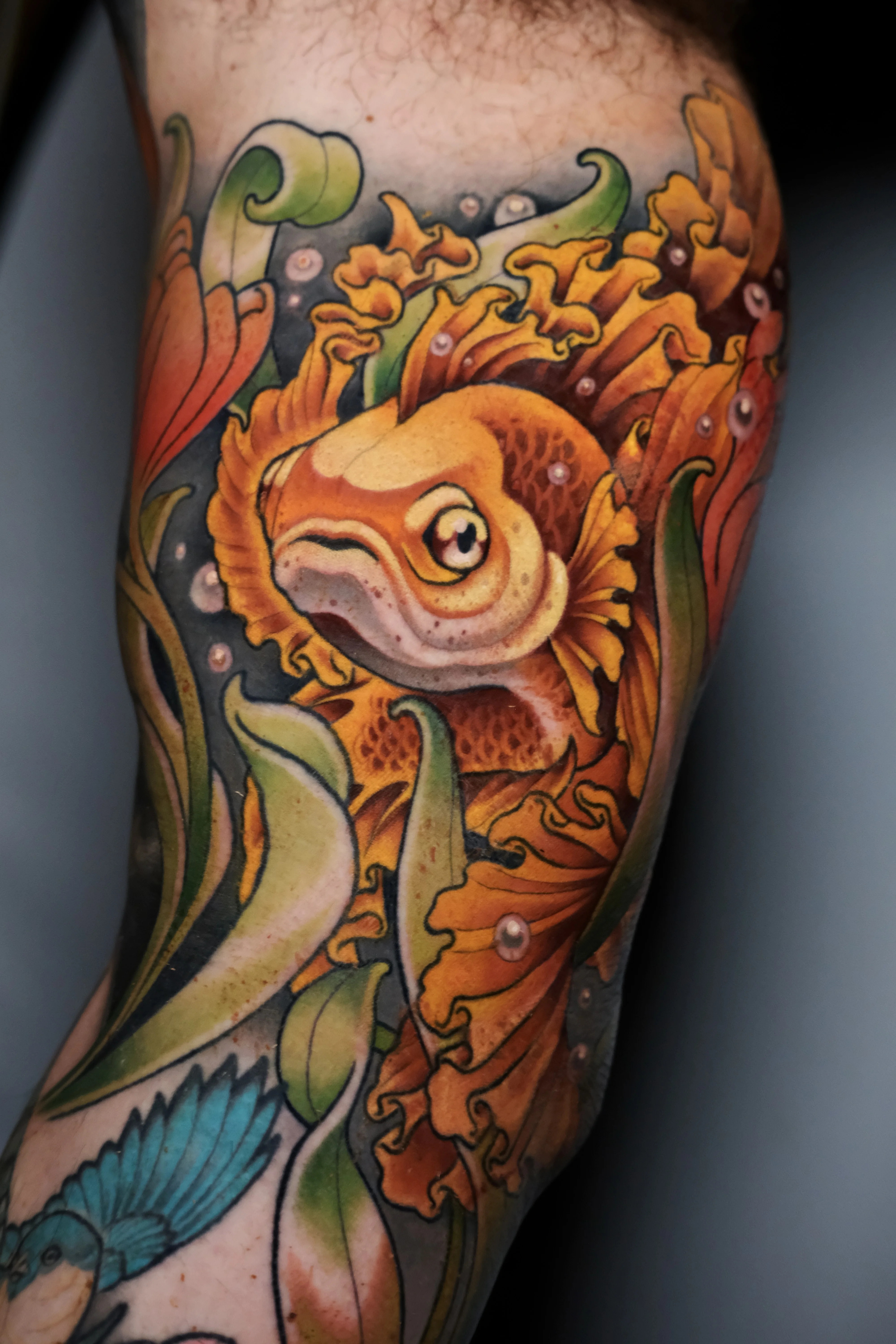 Neo-Traditional tattoo by Gabe Motta: goldfish fish neotraditional neotrad col