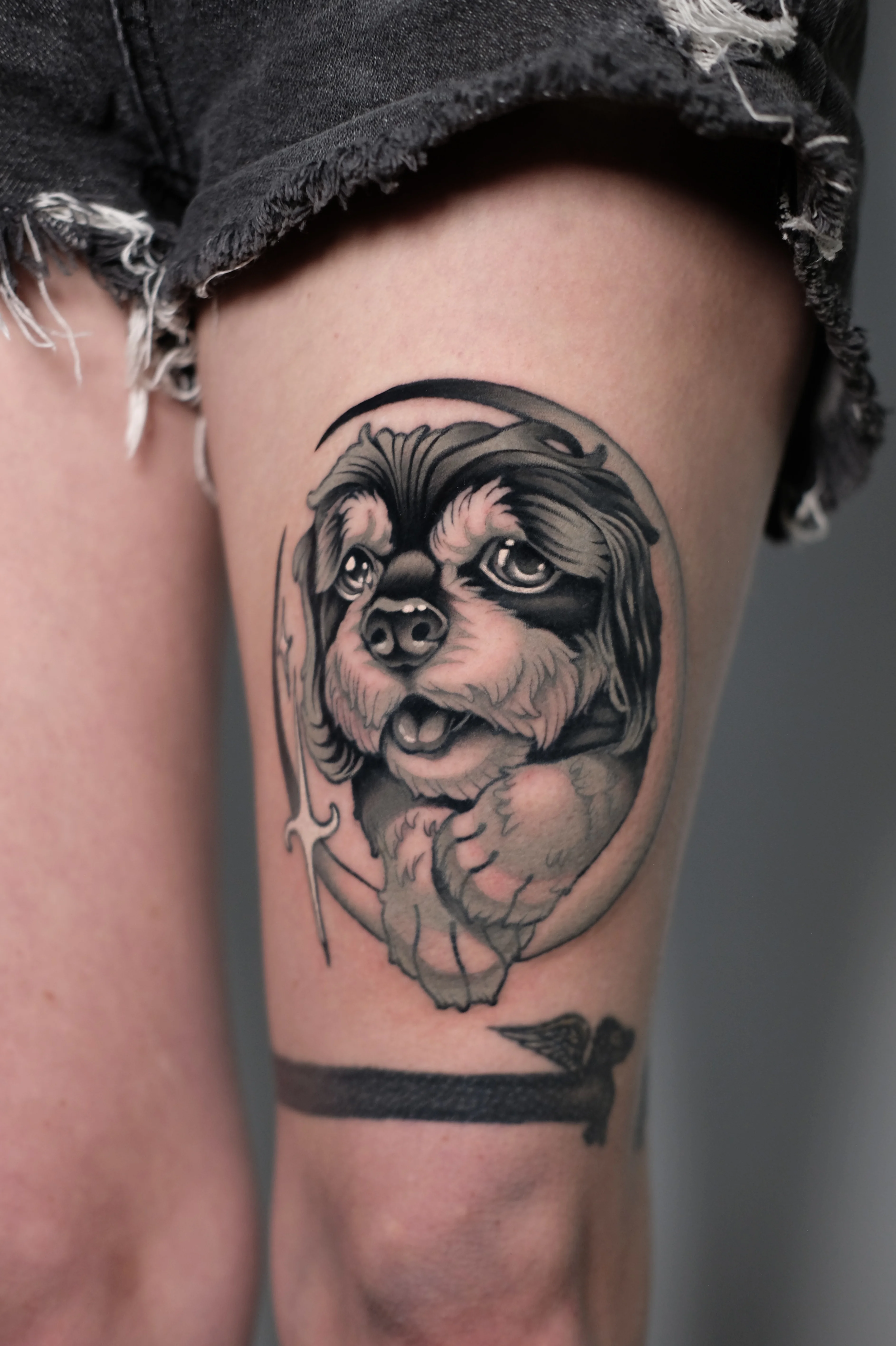 Black & Gray Realism tattoo by Gabe Motta: dog black and grey b&w neotraditional ne