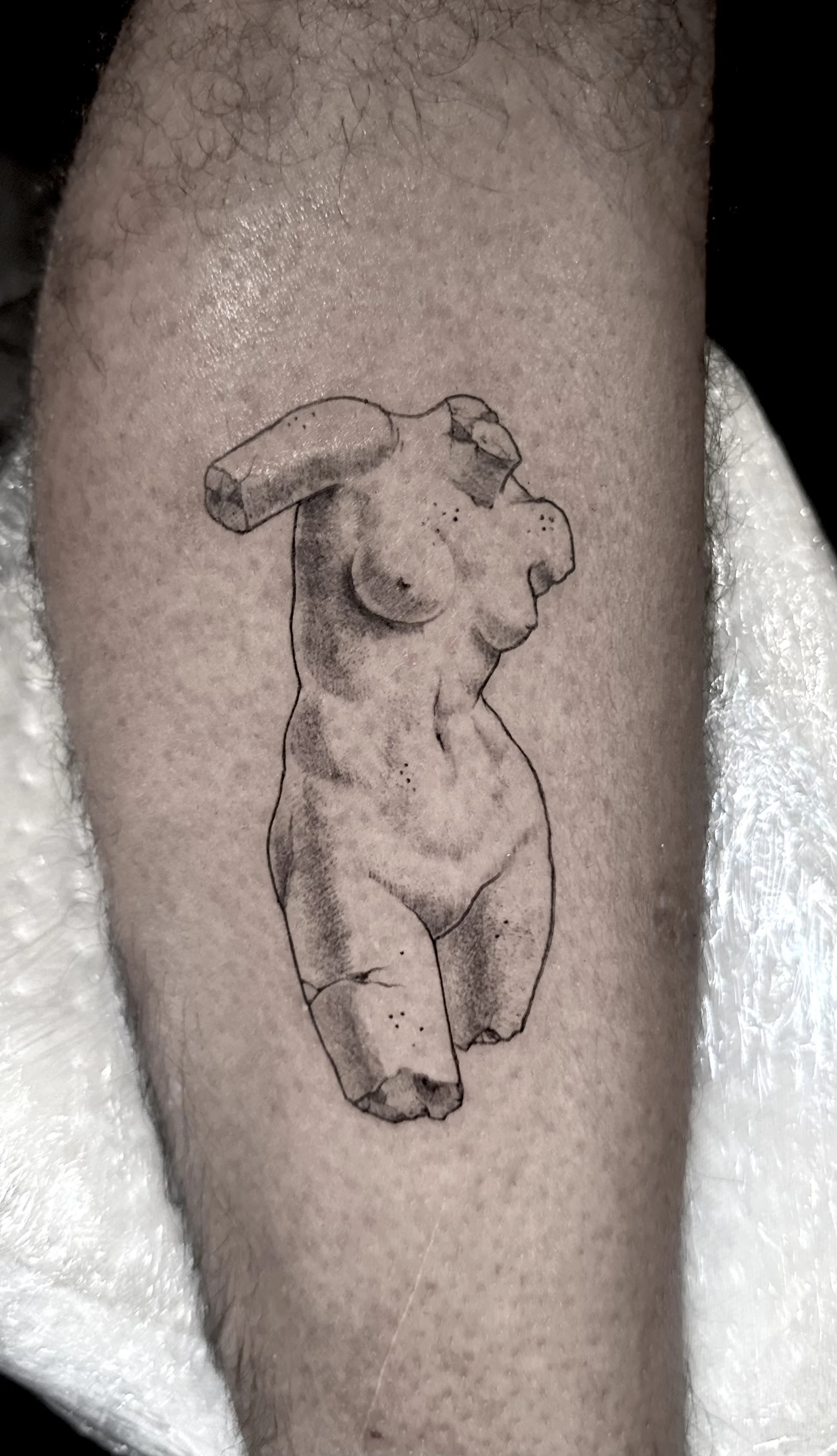Tattoo by Wolfhound Tattoo