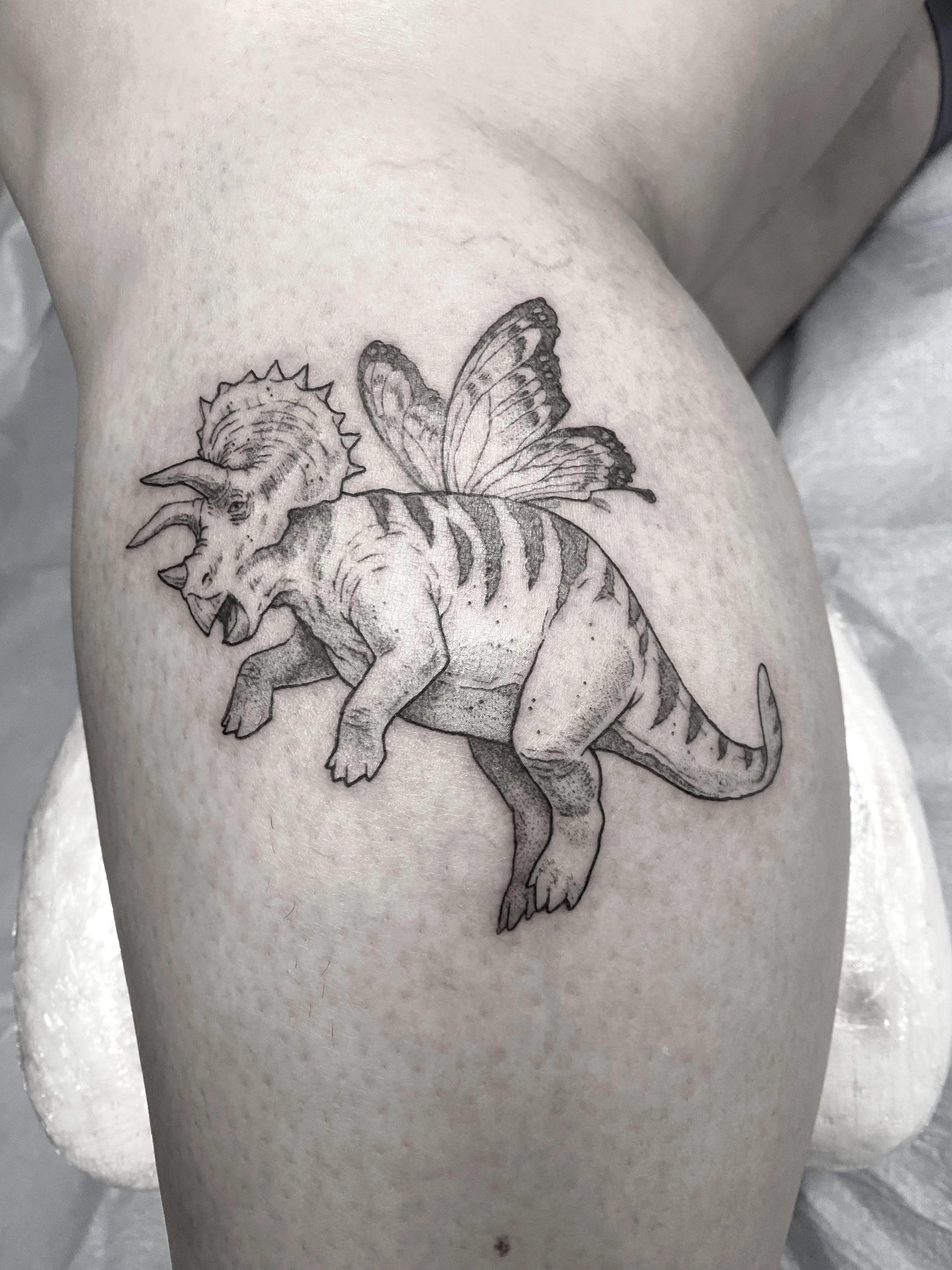 Fine Line tattoo by Wolfhound Tattoo: triceratops, butterfly, nature, animal