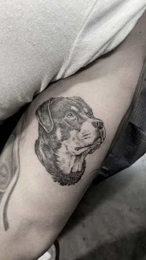 Rottweiler Black & Grey Portrait