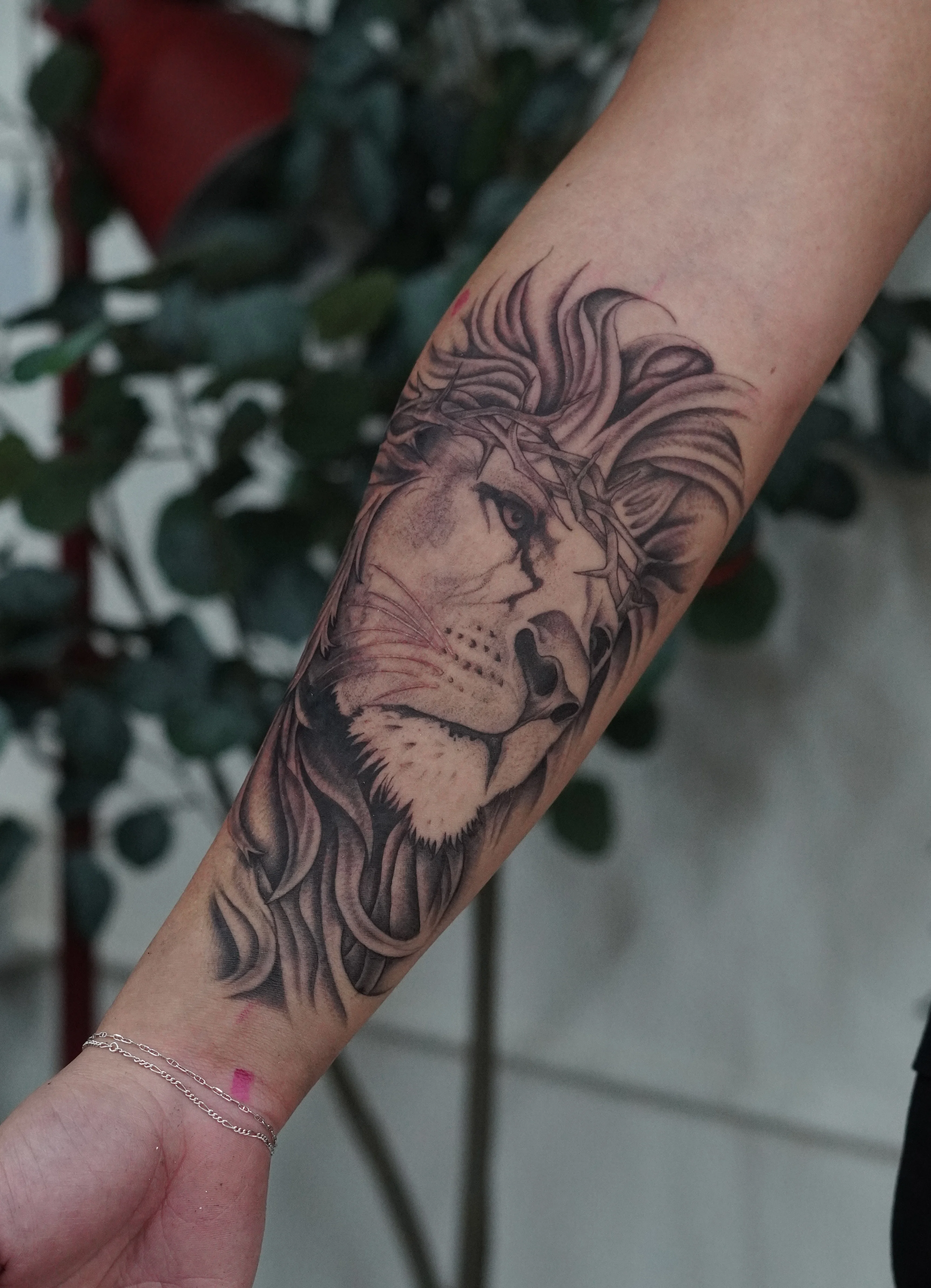 Black & Gray Realism tattoo by Kobe Virgen: lion, crown of thorns, animal, nature