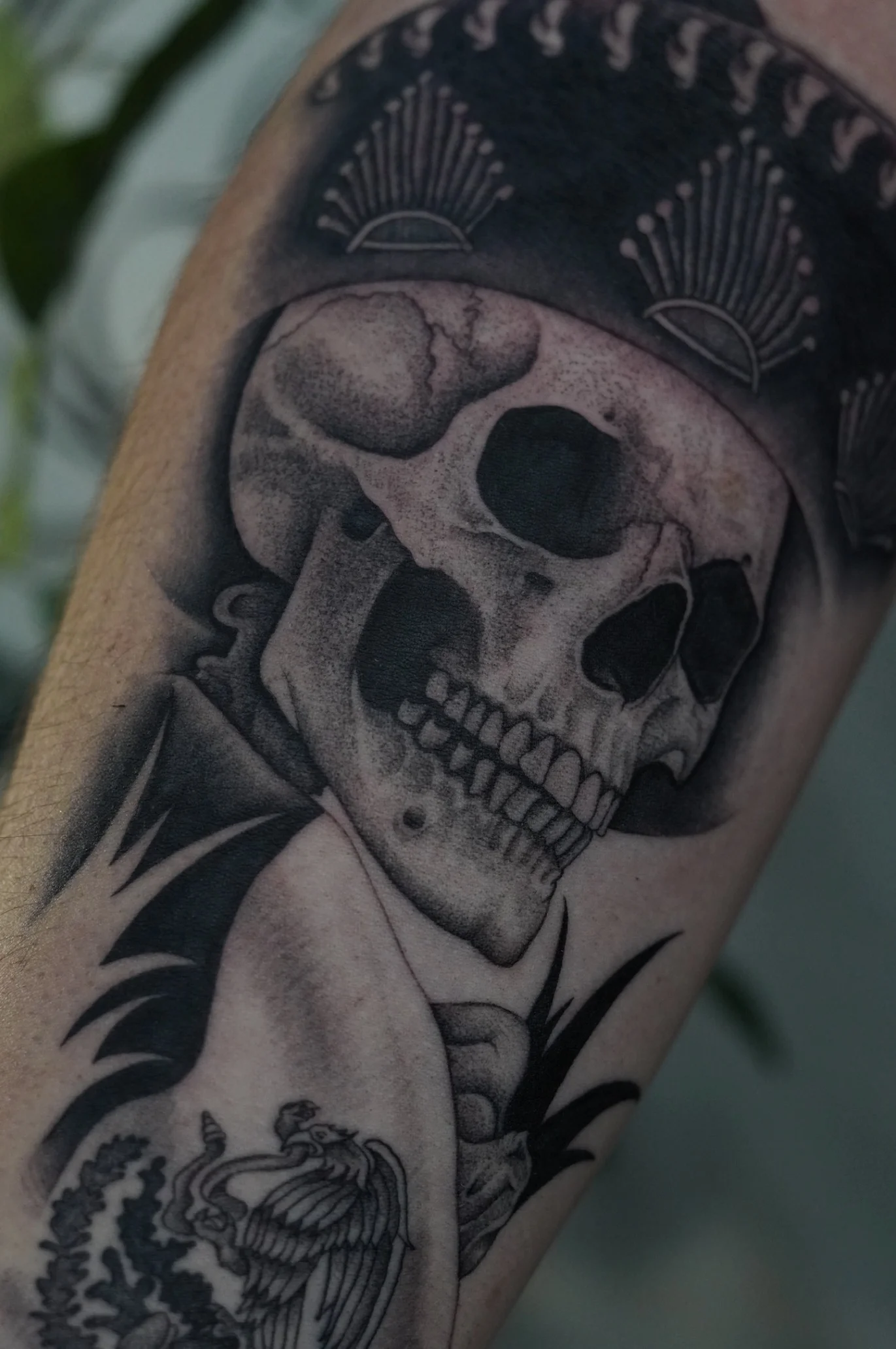 Skull with Eagle Emblem Forearm: skull, hat, eagle emblem, cloak, dark, death