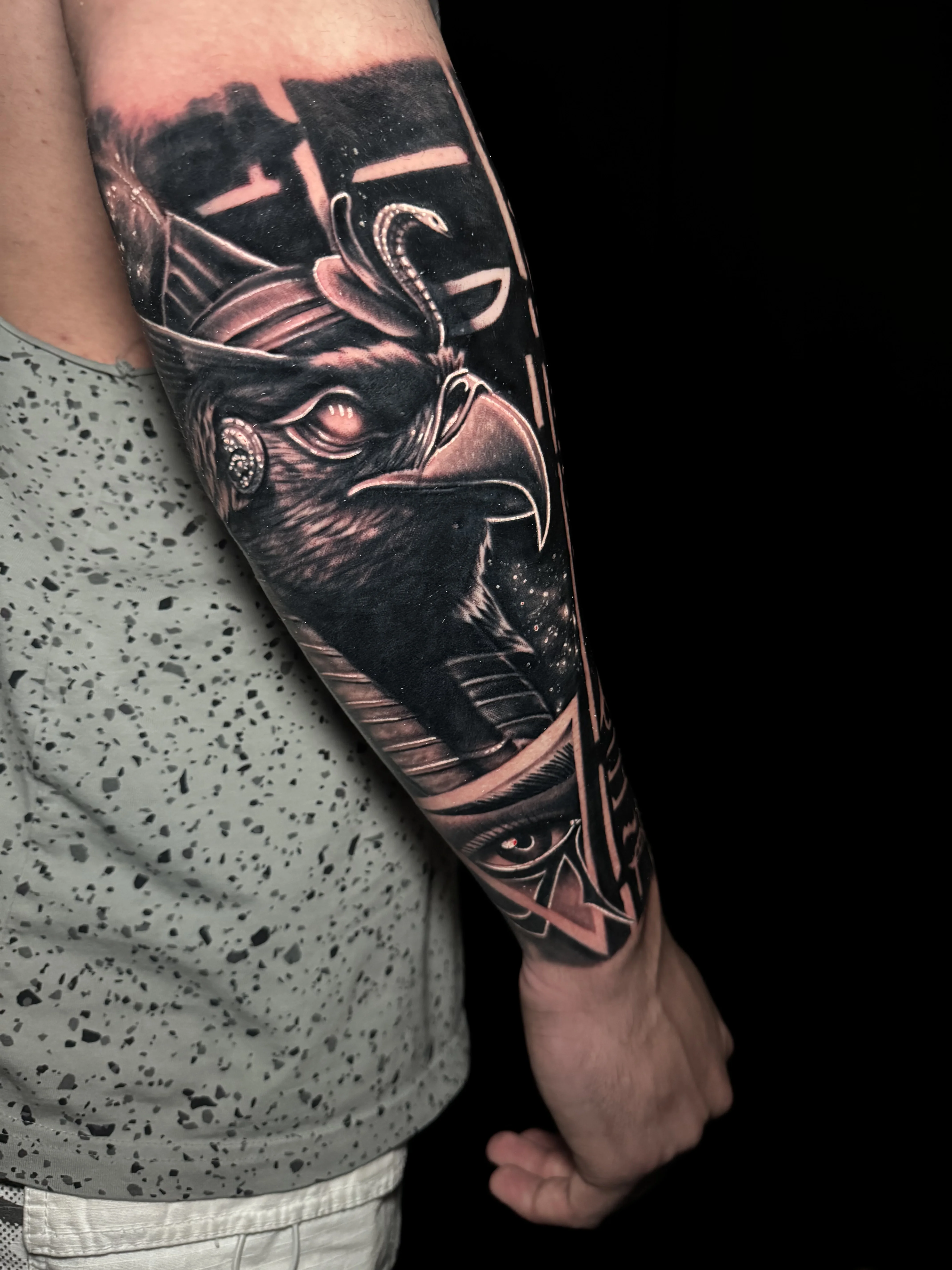 Falcon Headdress Quarter Sleeve: falcon, eye, headdress, animal, nature, mythology