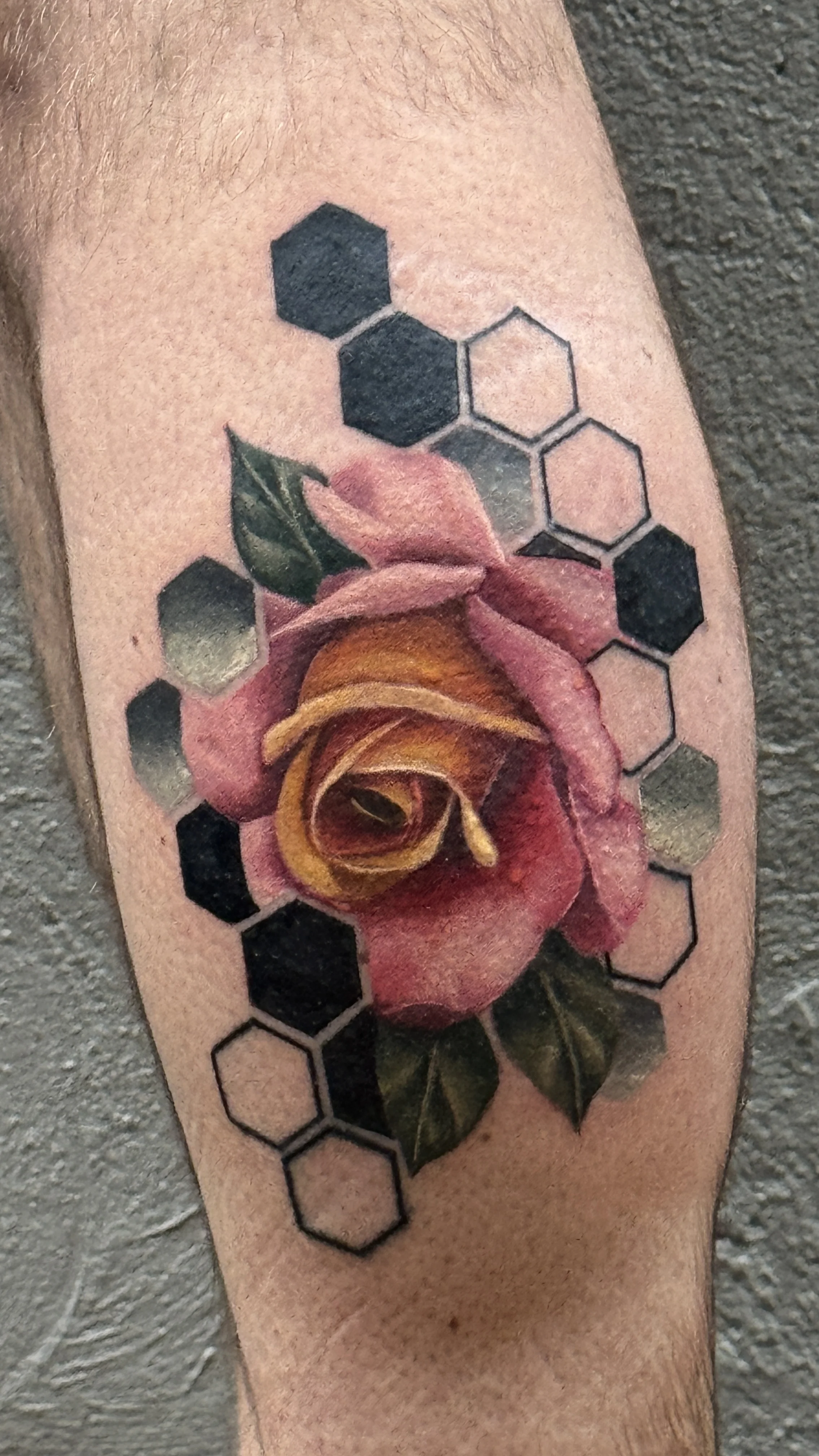 Realistic Rose With Hexagons Calf: rose, leaves, hexagons, floral, geometric, nature