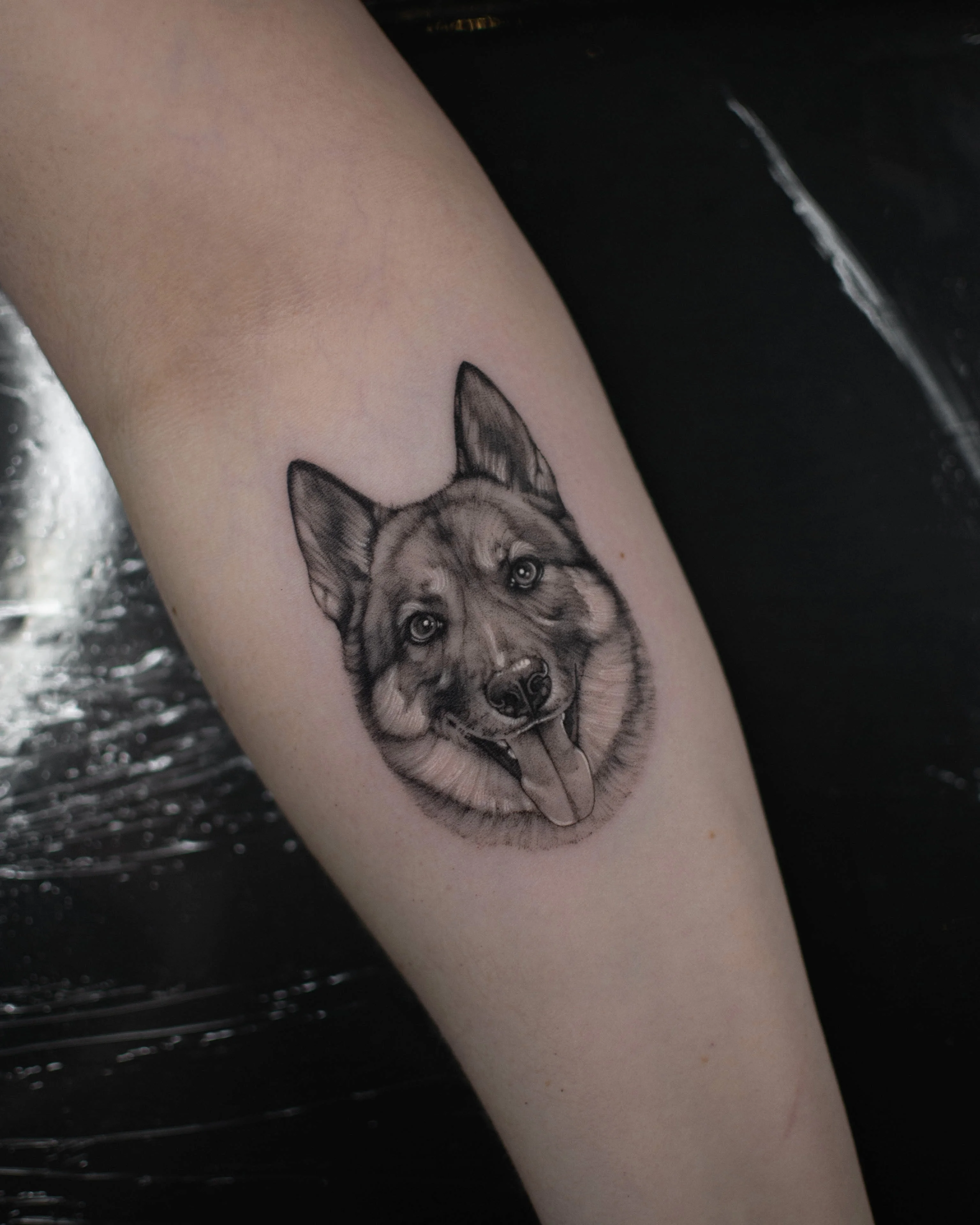 Black & Gray Realism tattoo by Vira.Ink: dog, german shepherd, tongue, animal