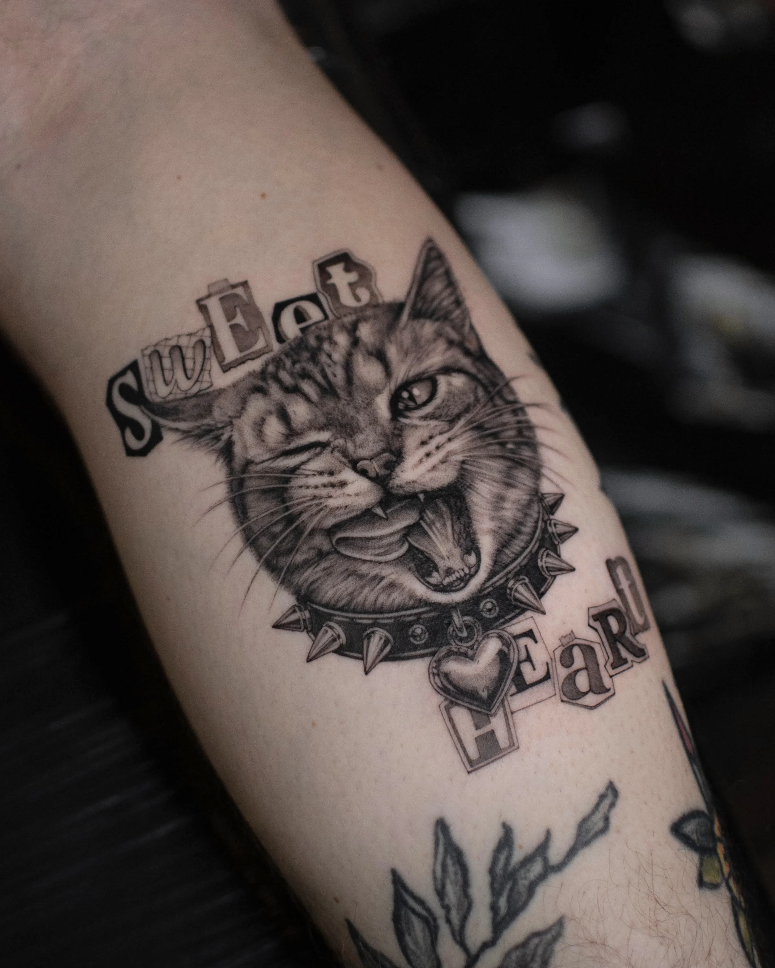 Black & Gray Realism tattoo by Vira.Ink: cat, spiked collar, heart charm, typography