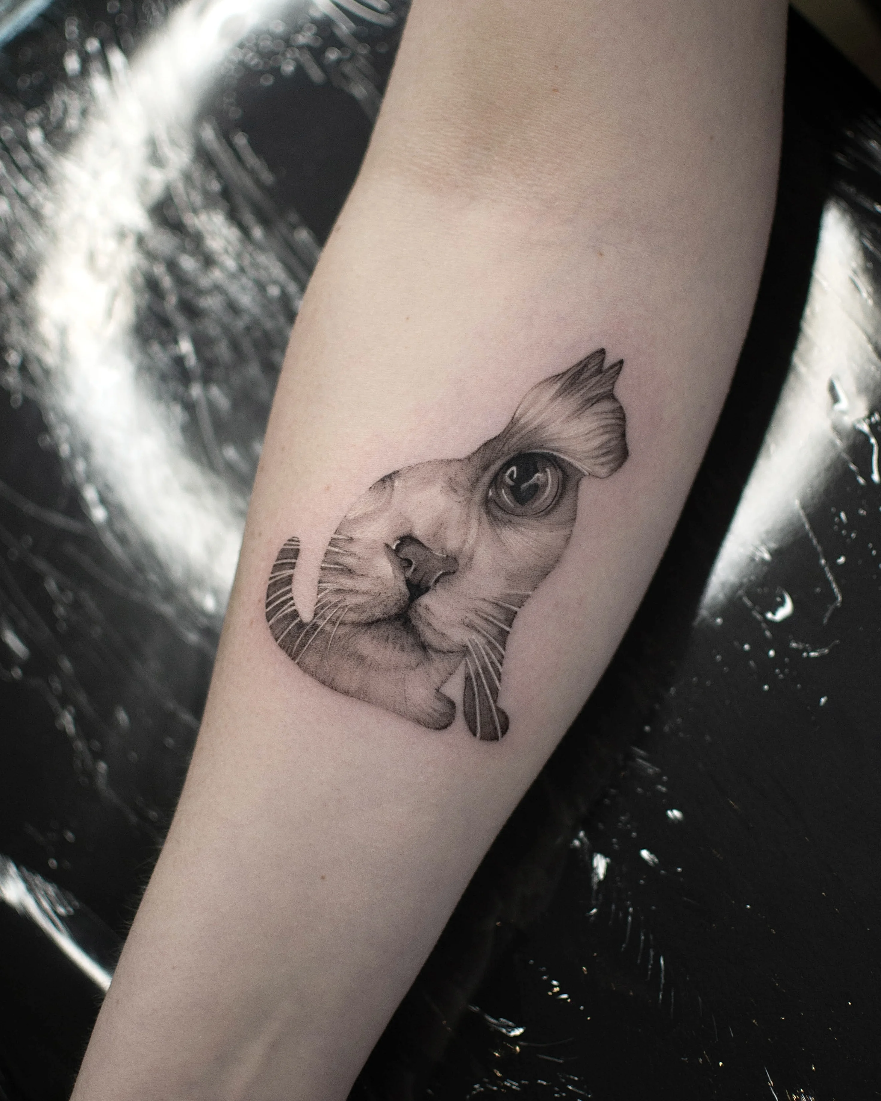 Black & Gray Realism tattoo by Vira.Ink: cat, cat face, cat eye, whiskers