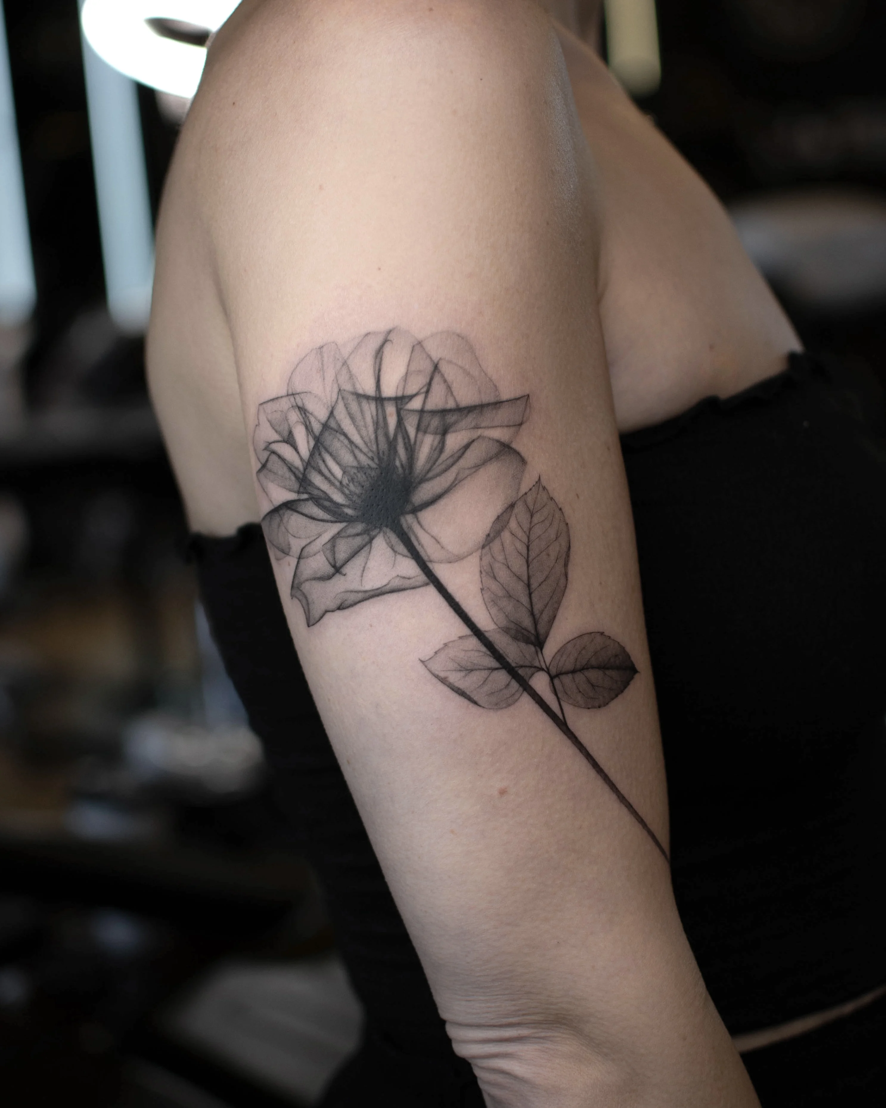 Fine Line tattoo by Vira.Ink: rose, stem, leaves, floral