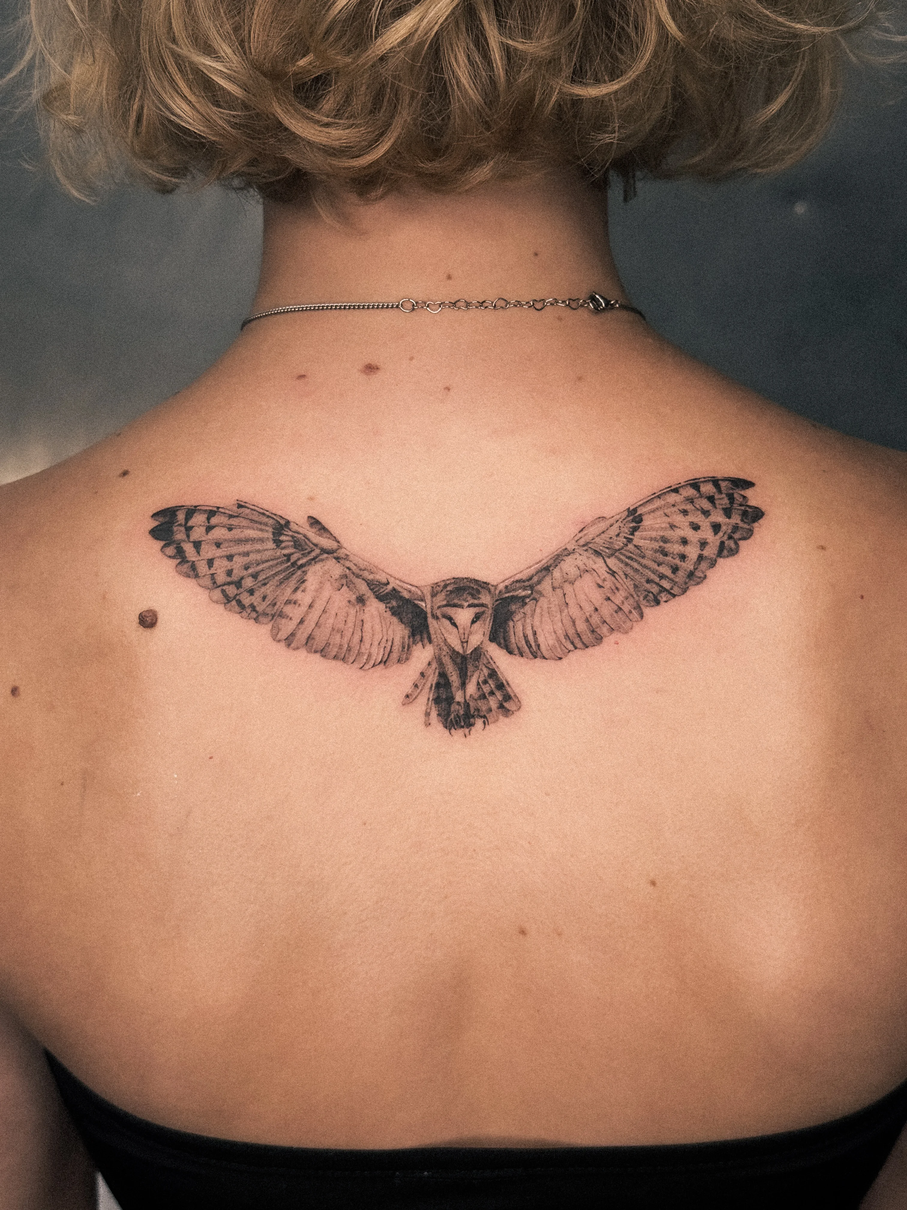 Black & Gray Realism tattoo by Shifu Blue: owl, wings, feathers, nature