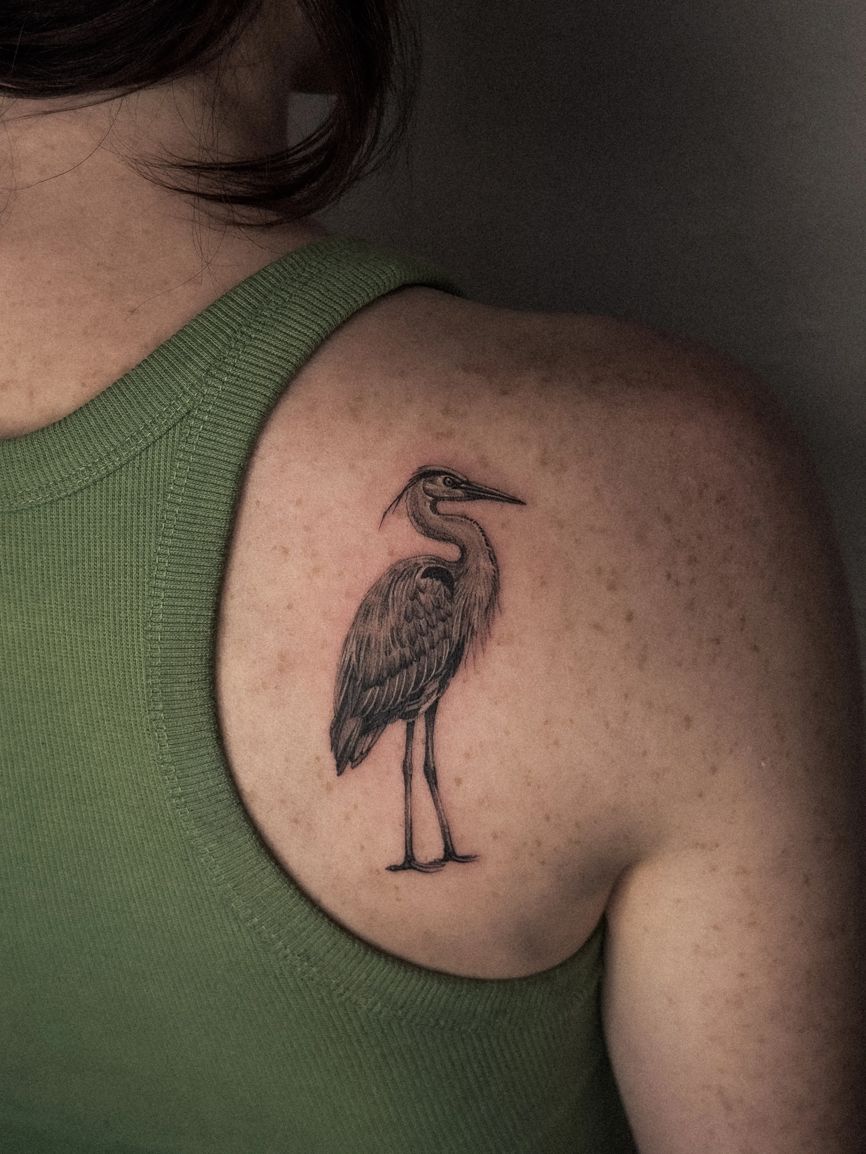 Black & Gray Realism tattoo by Shifu Blue: heron, bird, feathers, legs