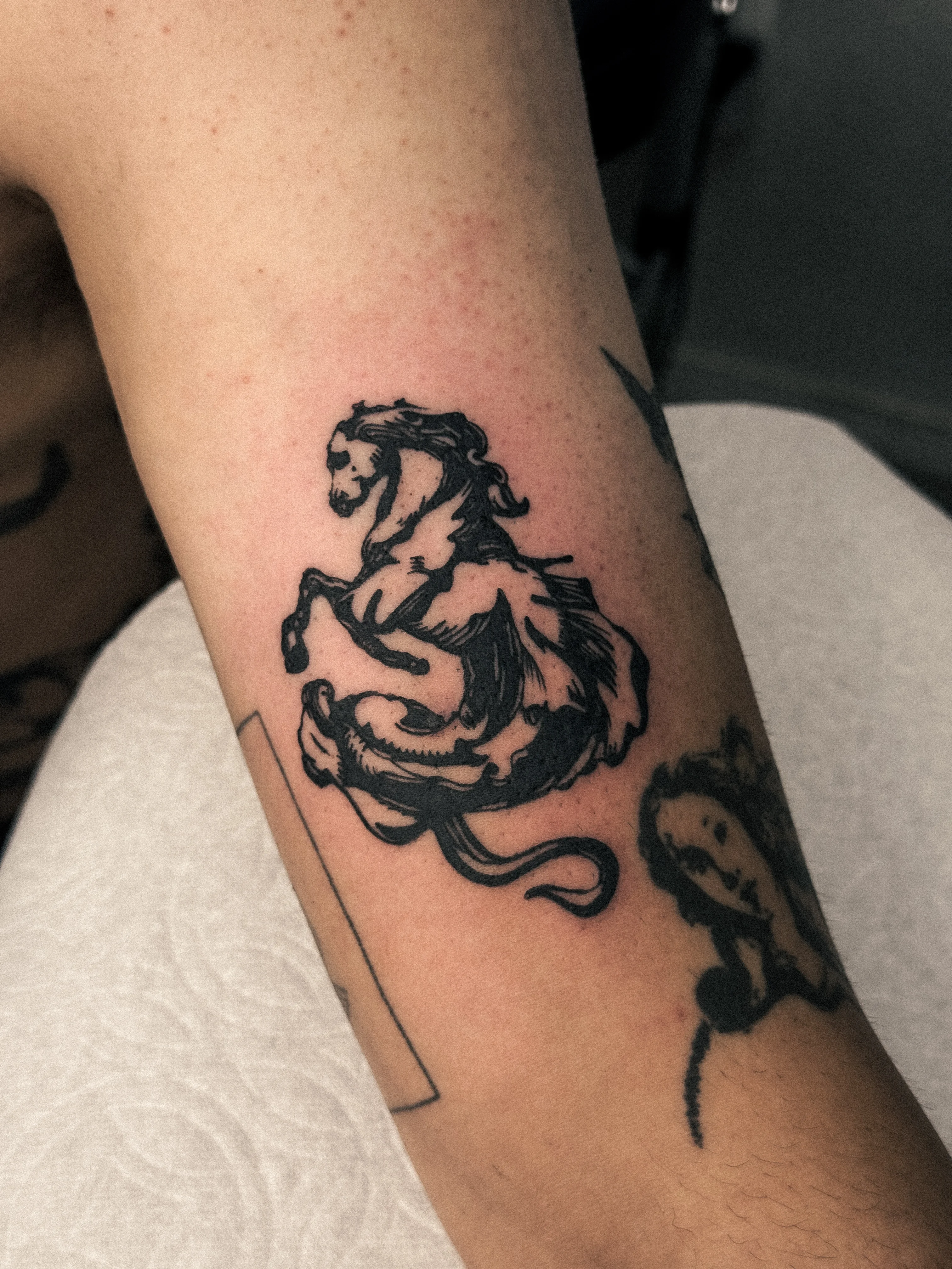 Blackwork tattoo by Shifu Blue: horse, animal, nature, bold