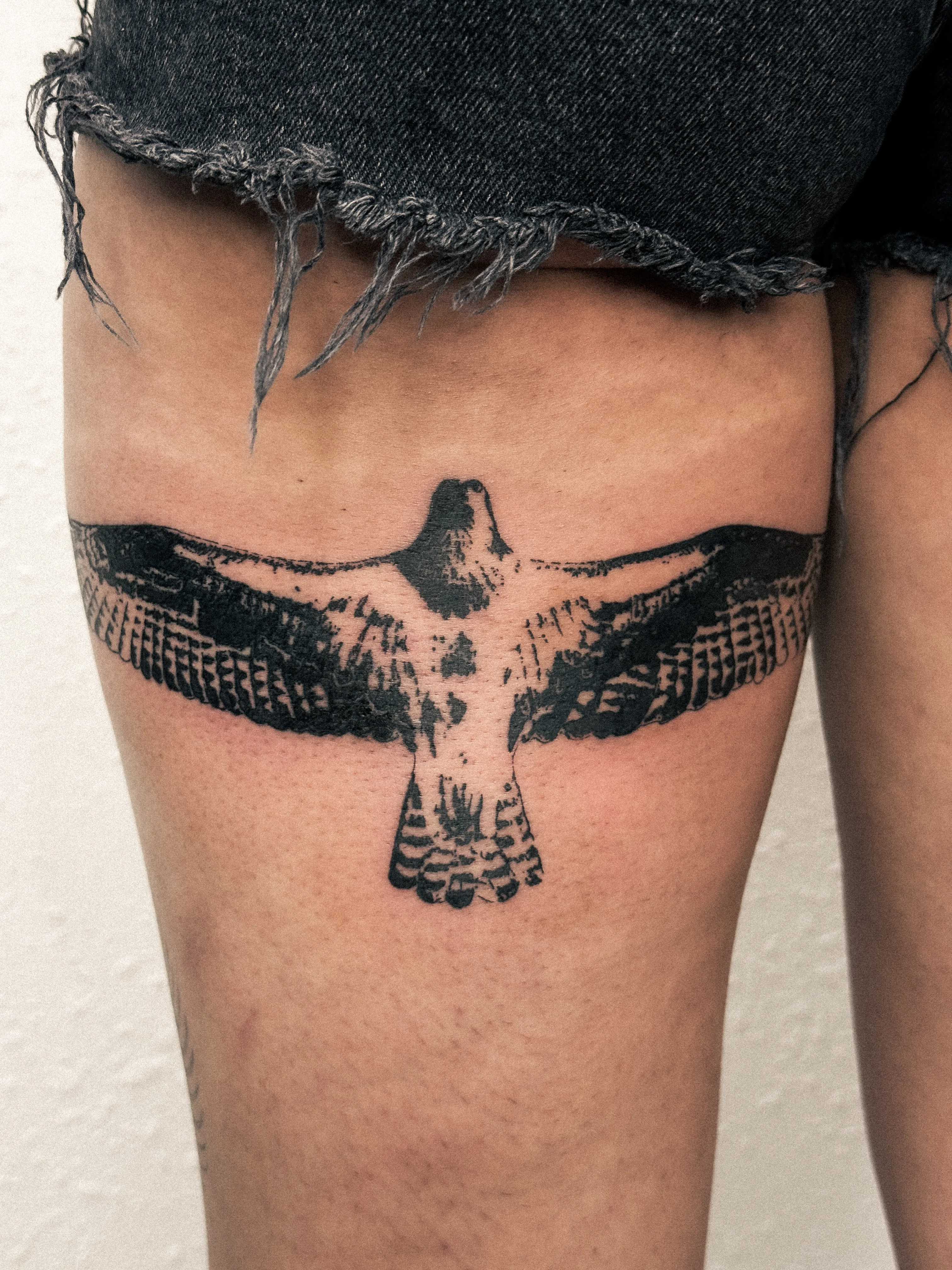 Blackwork tattoo by Shifu Blue: bird, falcon, wings, feathers