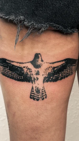 Bold Blackwork Spread Wing Falcon