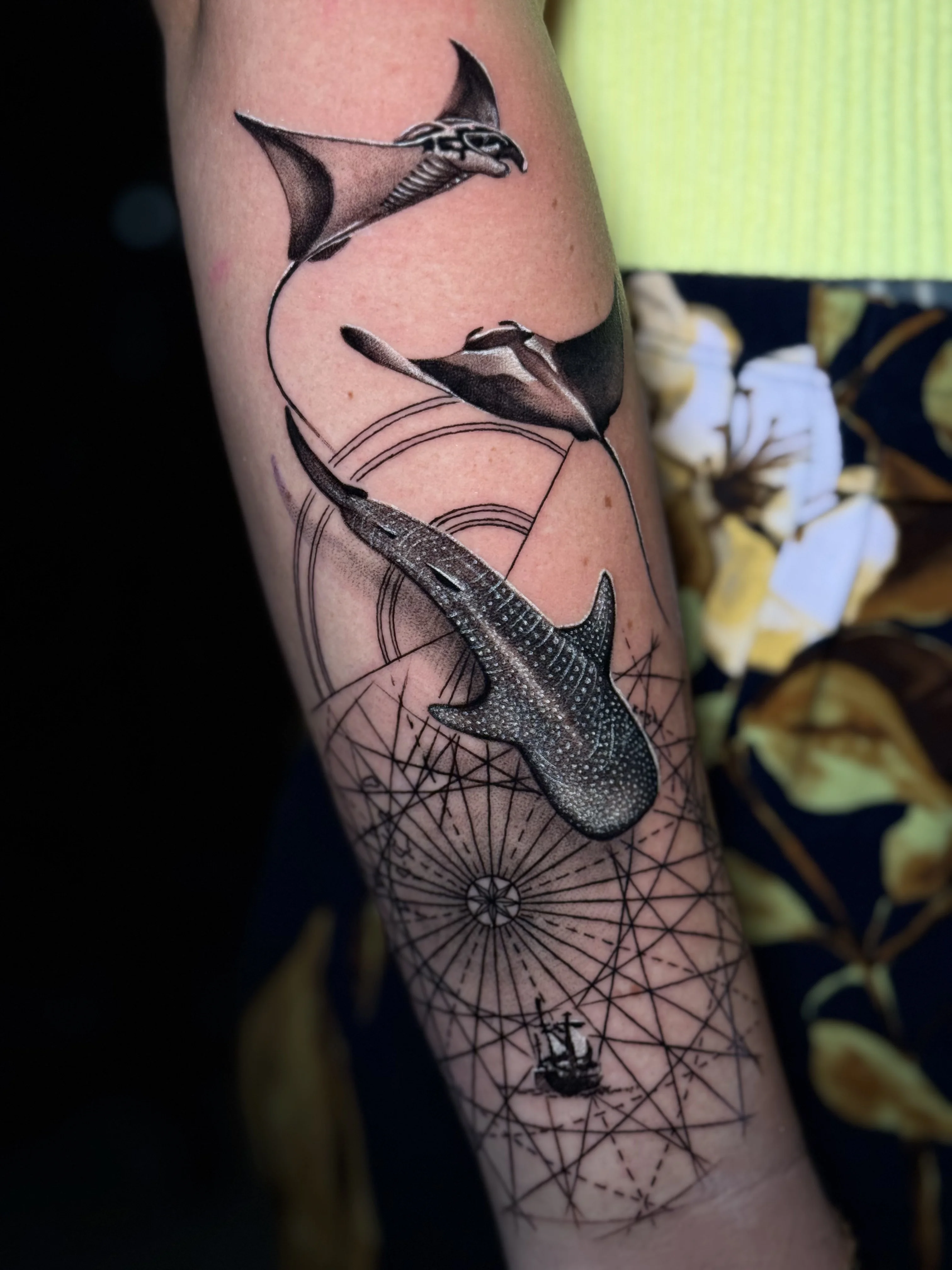 Whale Shark and Manta Rays Forearm: whale shark, manta ray, compass, ship, nature, ocean