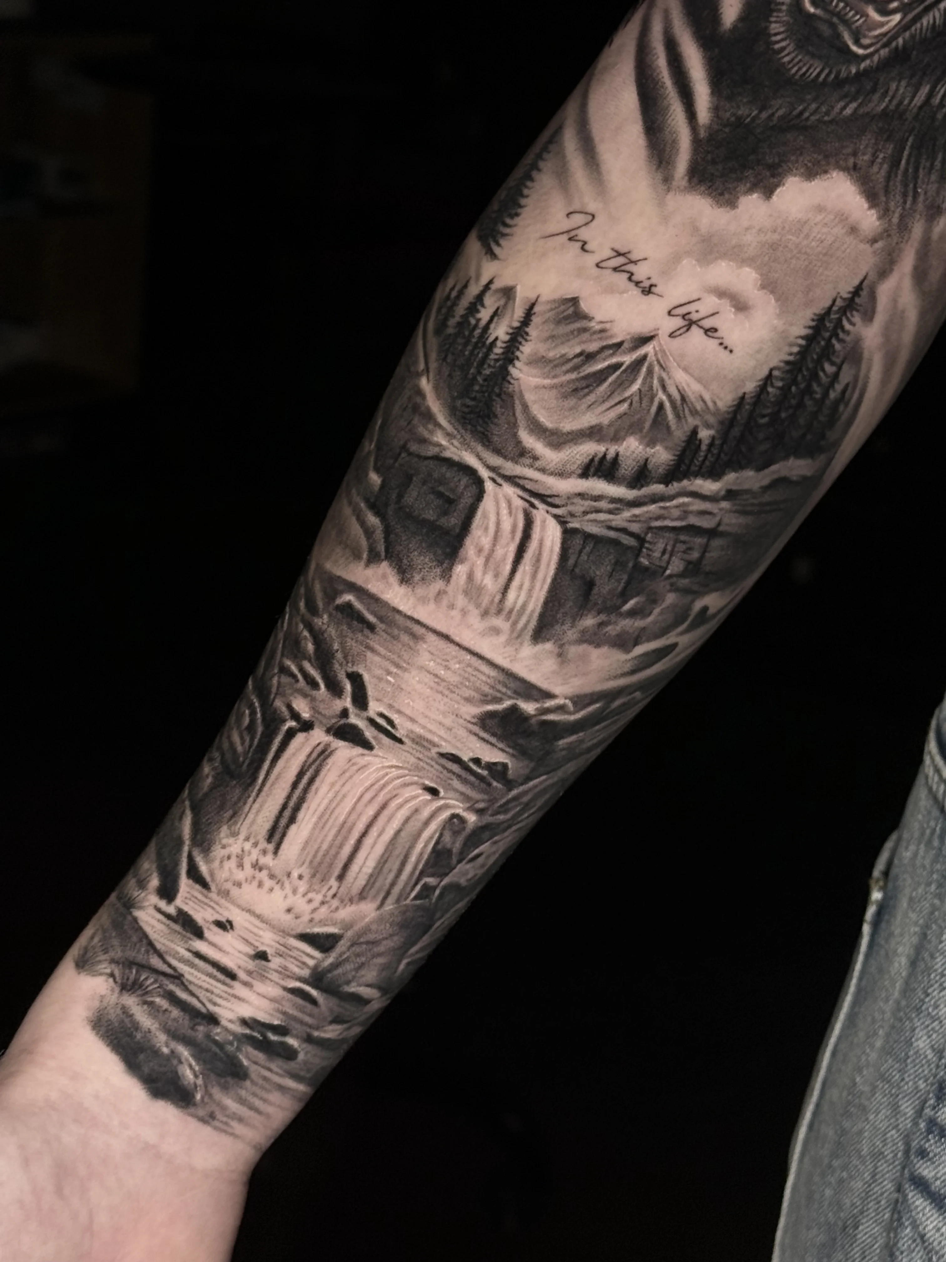 Black & Gray Realism tattoo by Umid Panahov: waterfall, river, rocks, trees