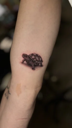 Realistic Small Turtle Forearm