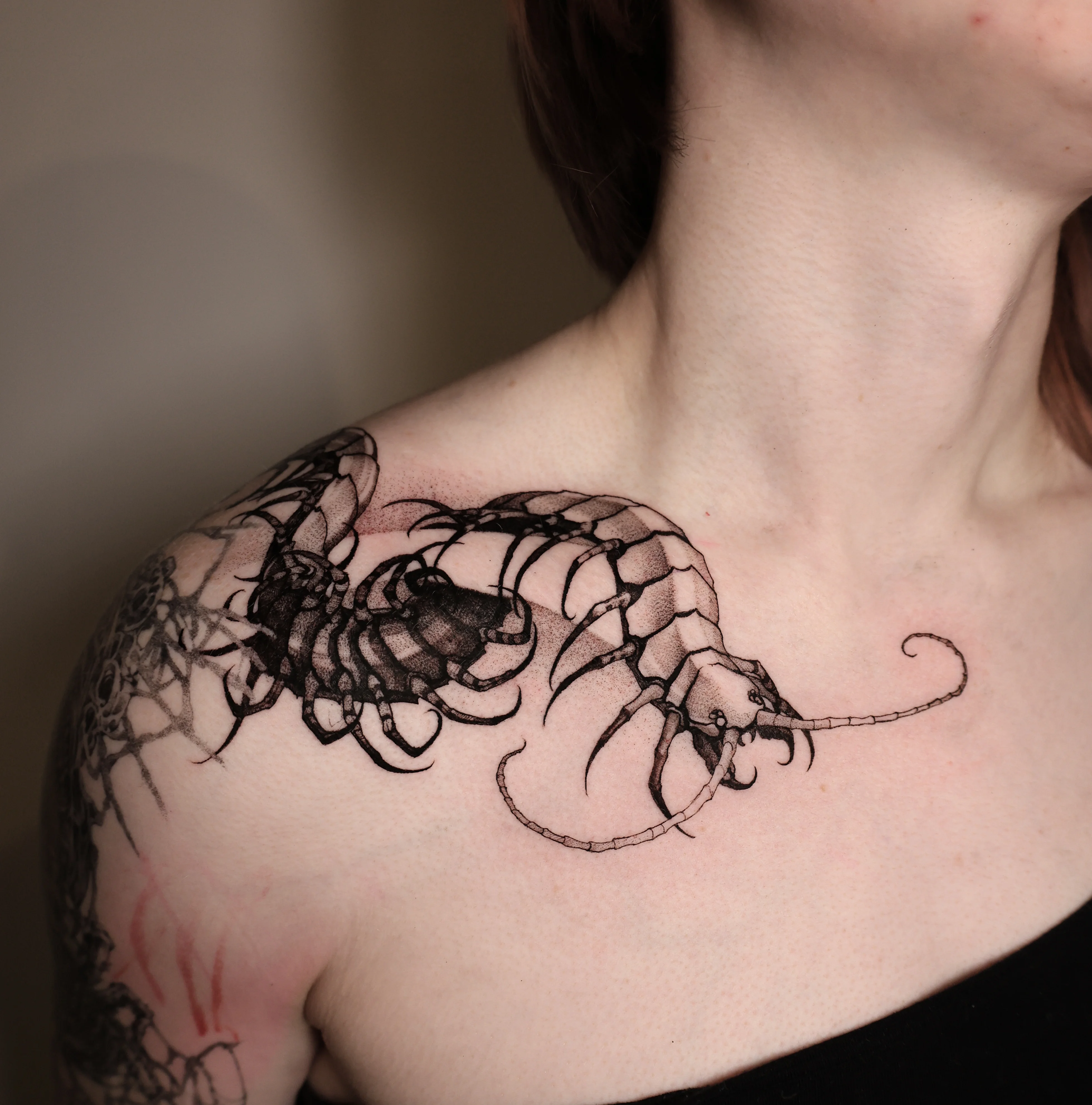 Blackwork tattoo by Konstantin Strokin: centipede, exoskeleton, nature, dark