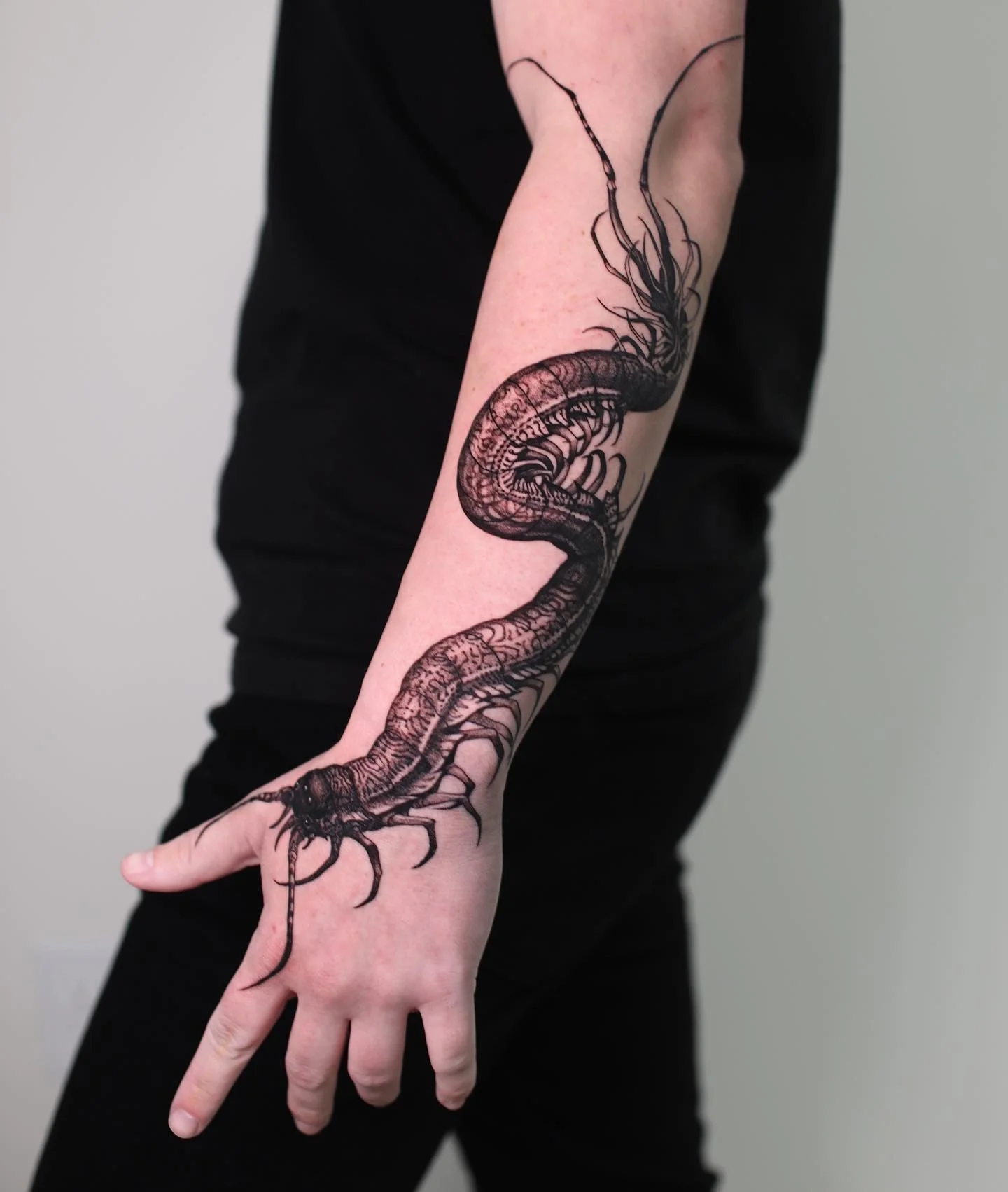 Blackwork tattoo by Konstantin Strokin: centipede, antennae, legs, segments
