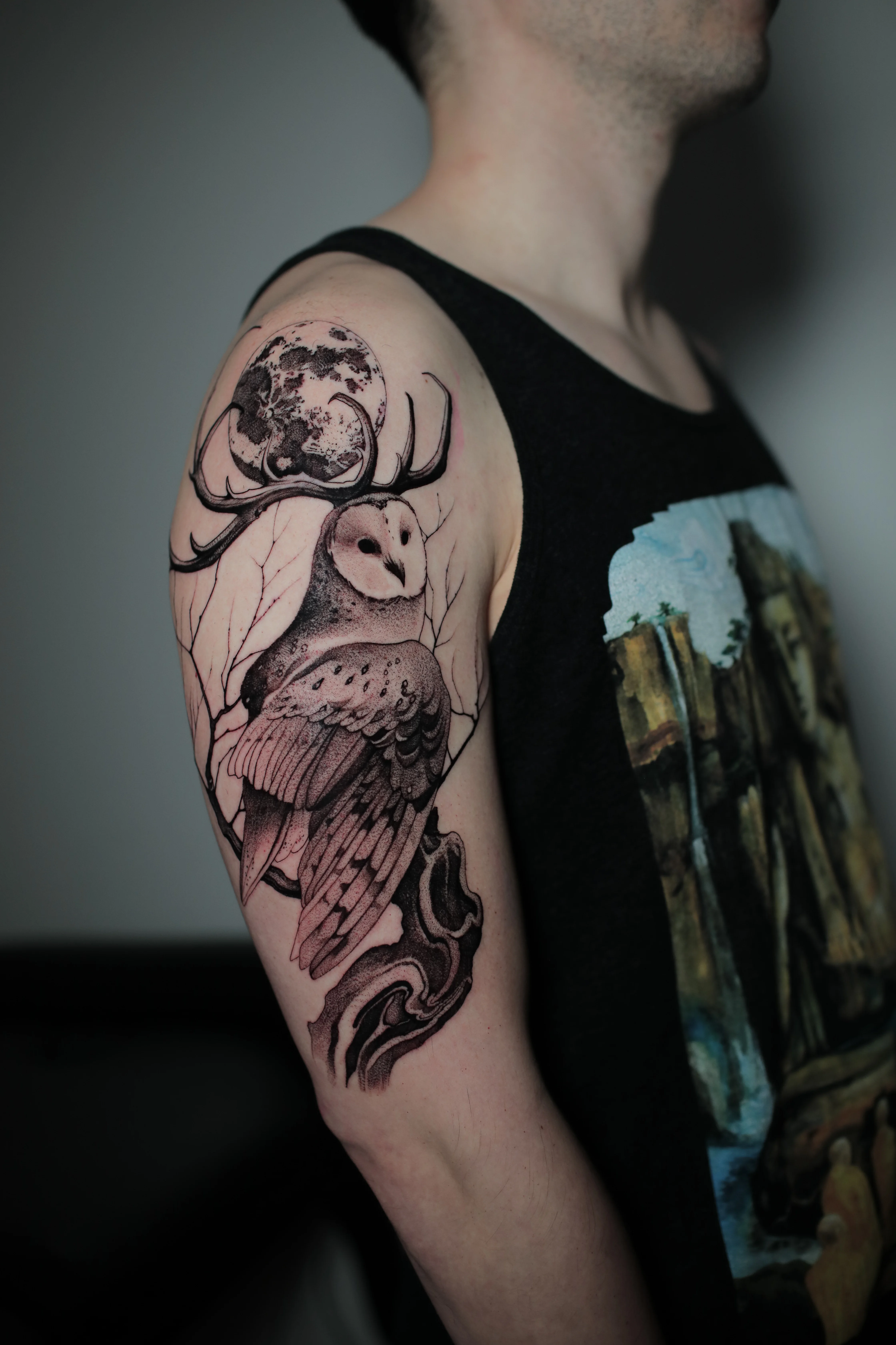 Owl With Antlers and Moon: owl, antlers, full moon, tree branches, nature, animal