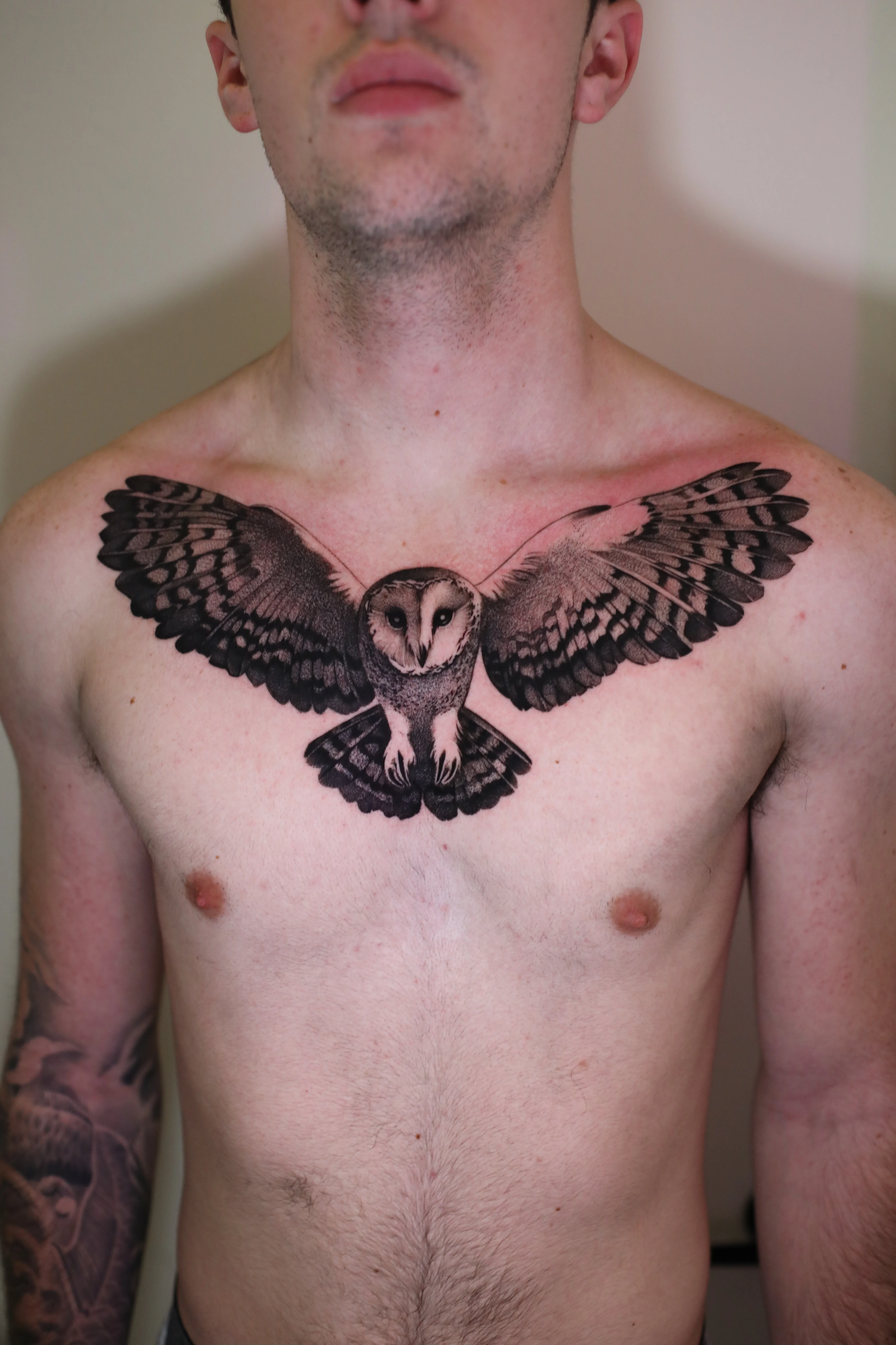 Realistic Flying Owl Chest Piece: owl, wings, feathers, animal, nature, realism