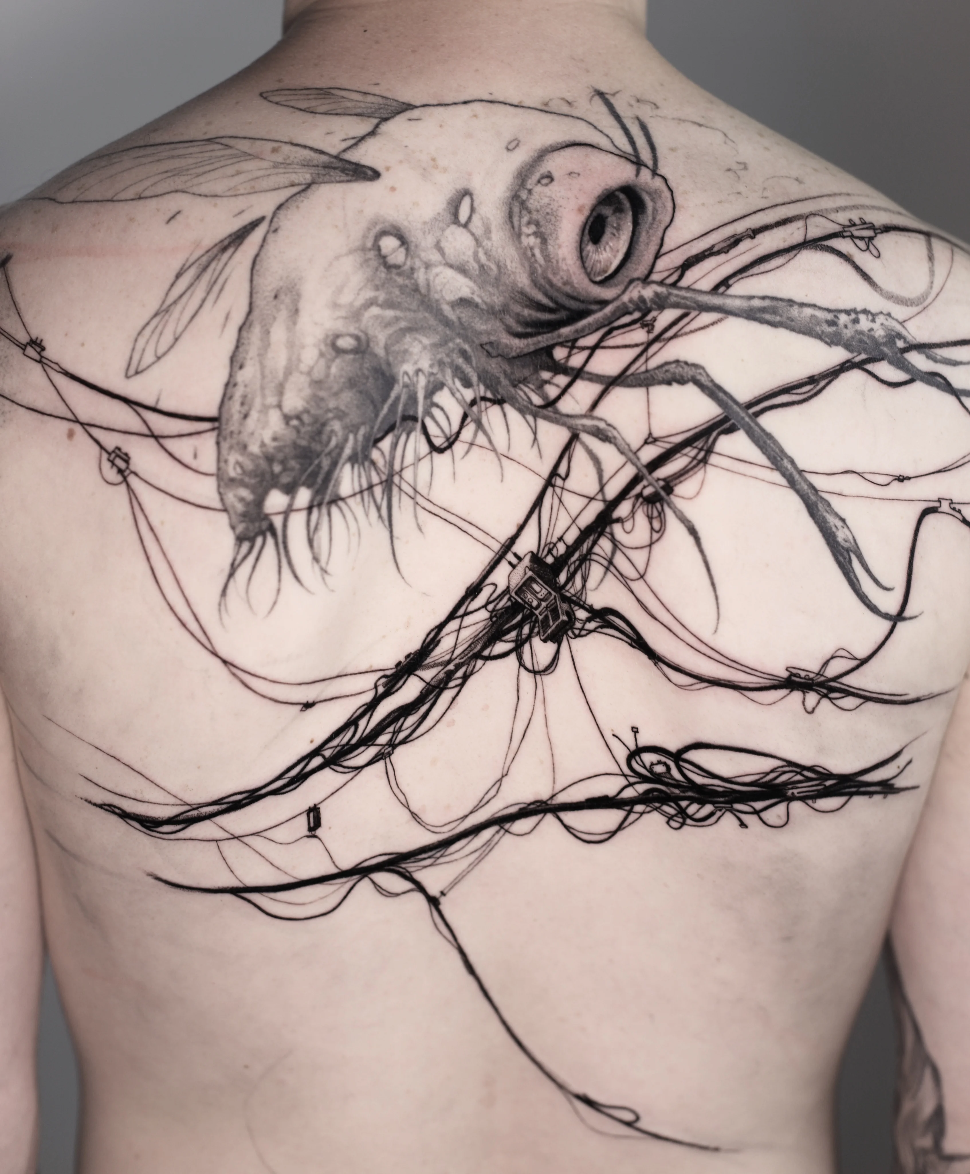 Realistic Fly with Wires Back Piece: fly, wires, antennae, nature, surrealism, abstract