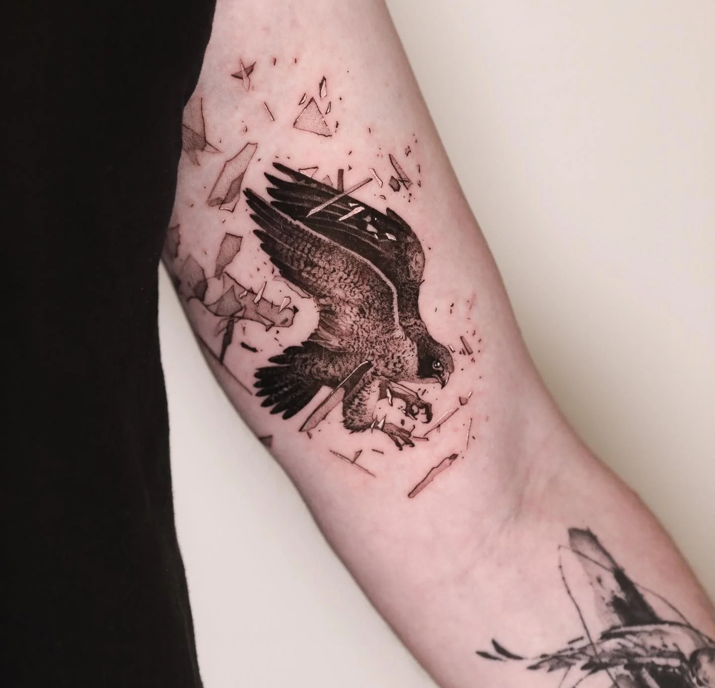 Realistic Hawk With Shattered Glass: hawk, broken glass, shards, nature, animal, realism