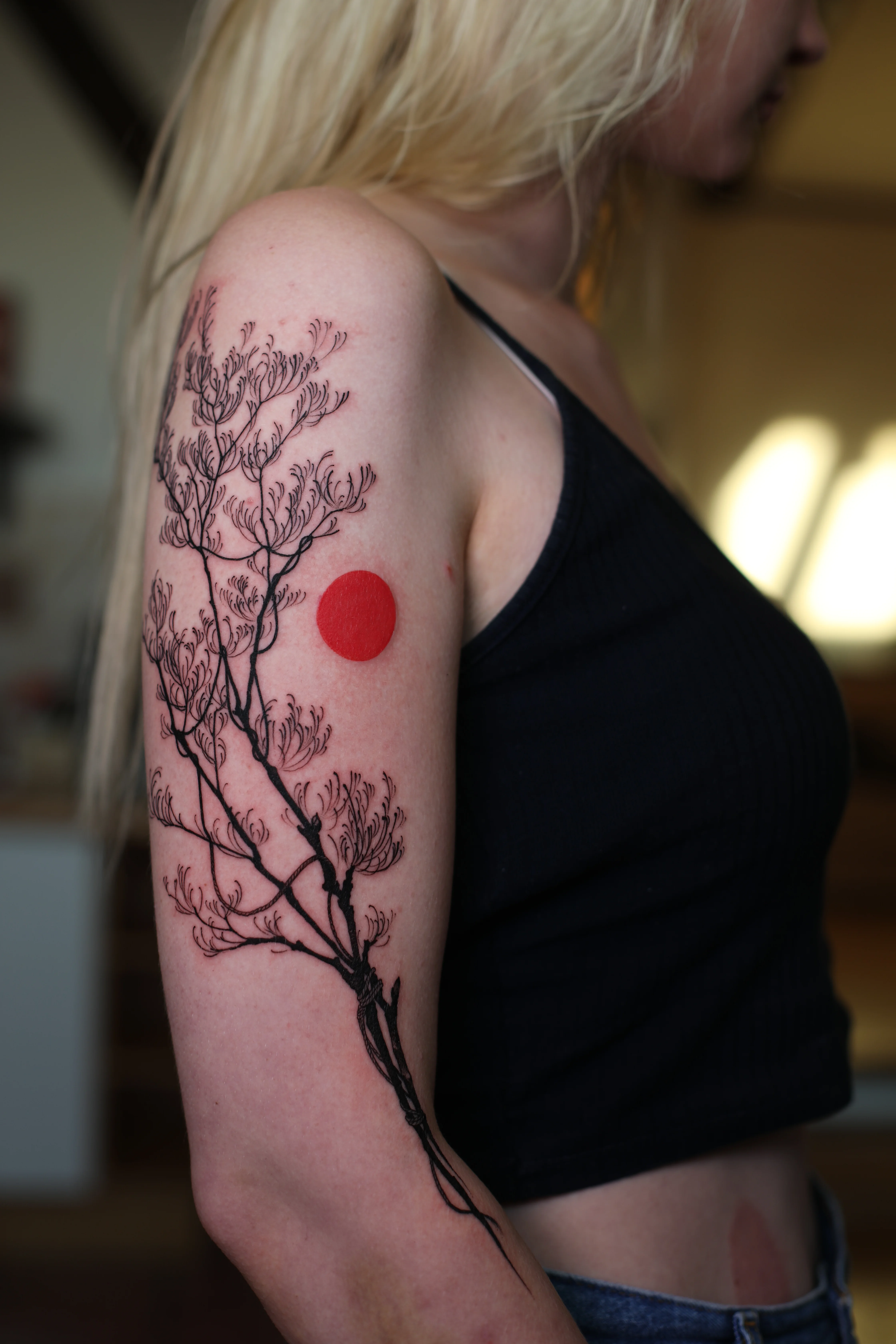 Delicate Branch With Red Sun: branch, leaves, red sun, nature, minimal, delicate