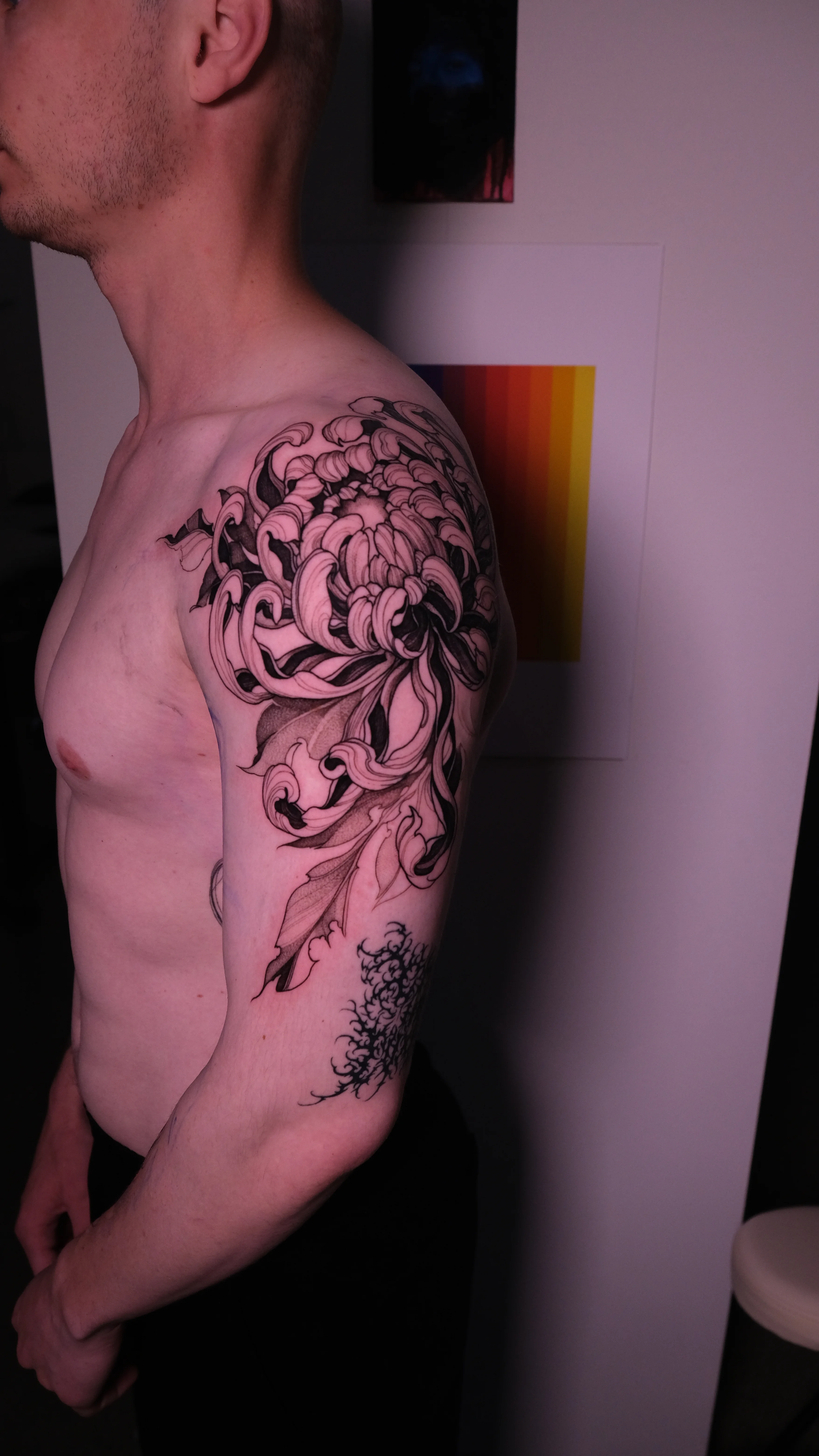 Chrysanthemum Black & Grey Half Sleeve: chrysanthemum, leaf, floral, nature, detailed, dark