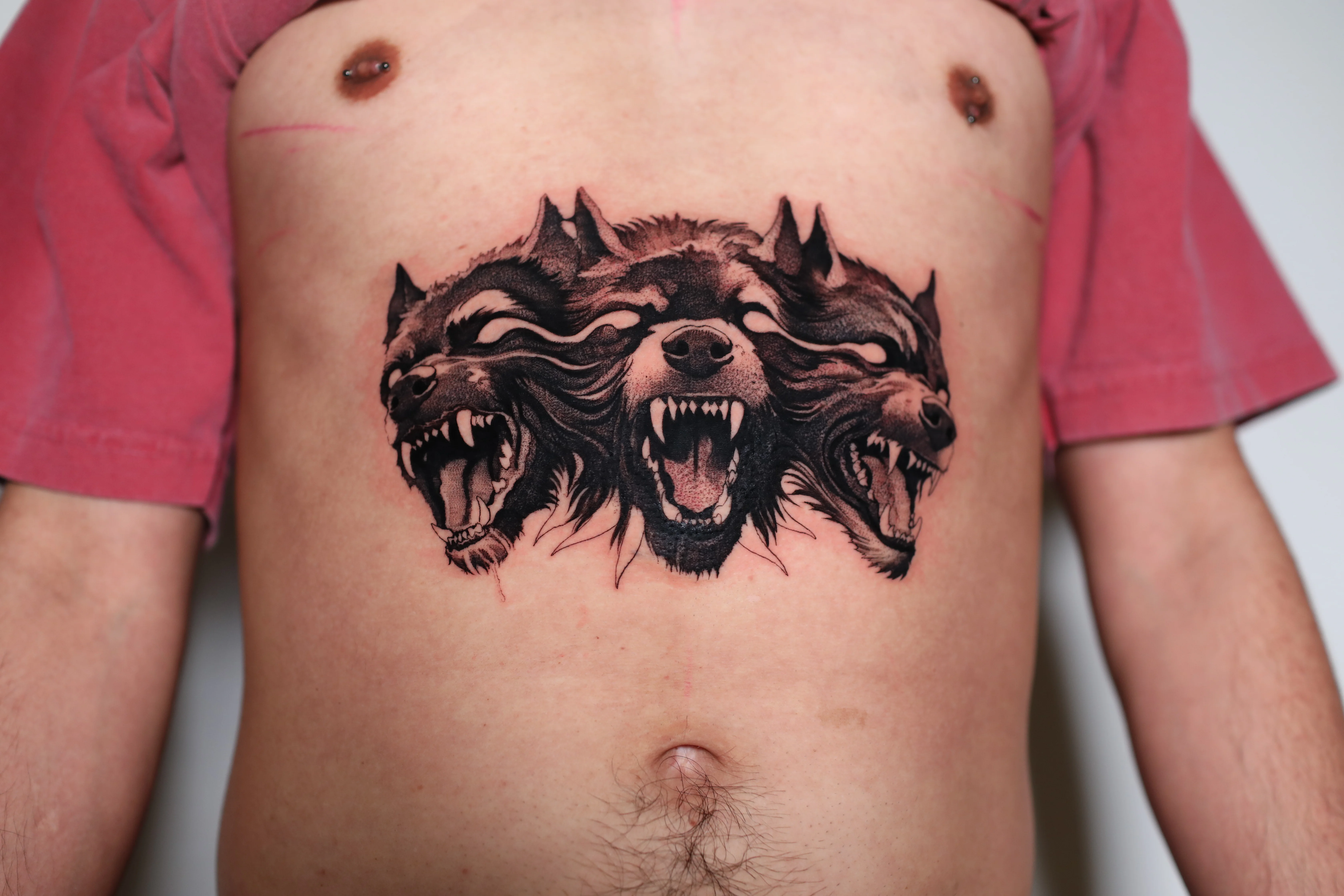 Three-Headed Snarling Wolf Stomach: wolf, three-headed wolf, bared teeth, snarling, animal, nature