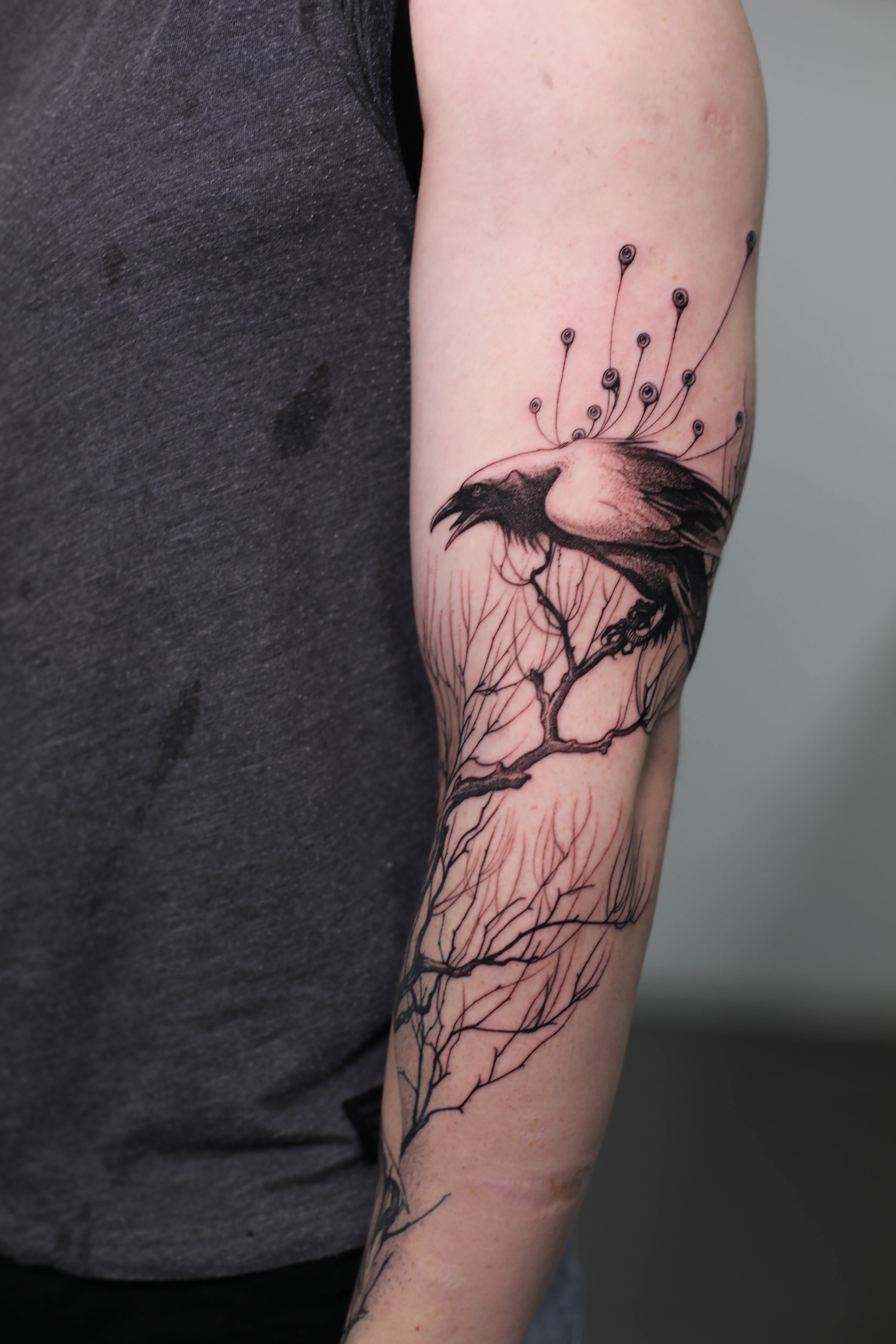 Crow on Branch Forearm: crow, branch, tree, berries, nature, animal