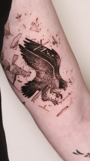 Realistic Hawk With Shattered Glass