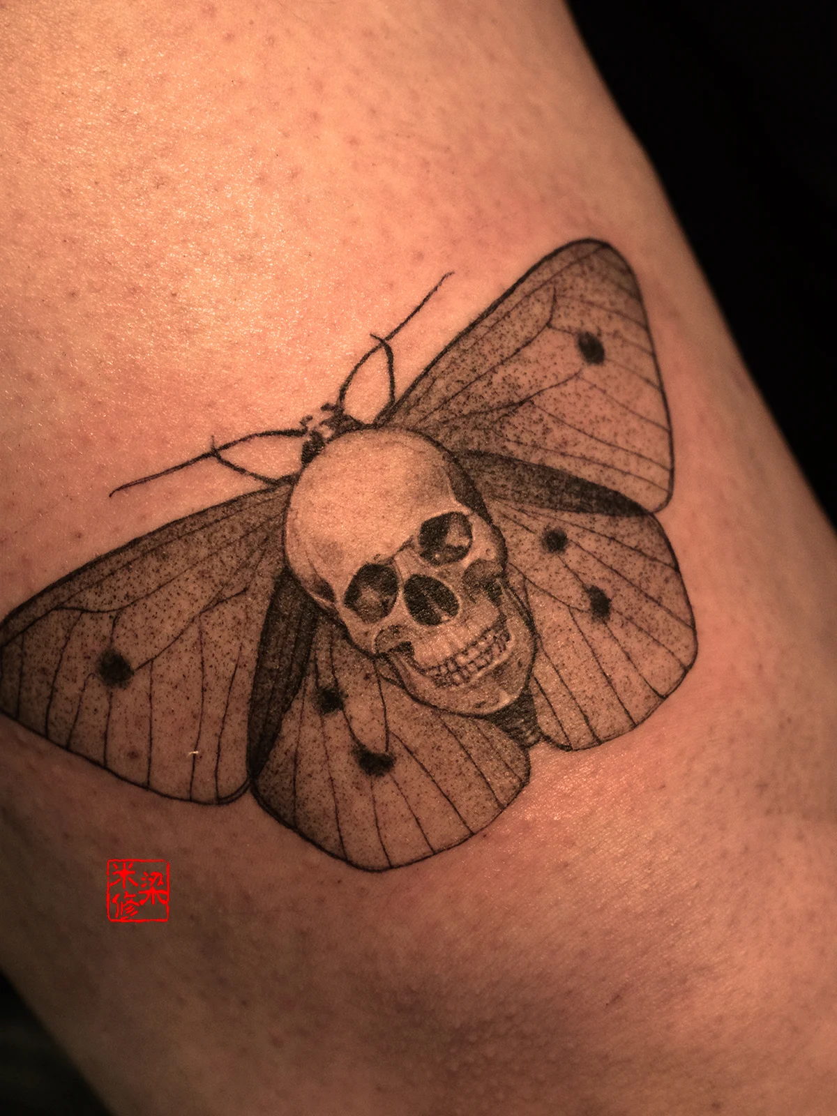 Black & Gray Realism tattoo by Michelle.tatts: moth, skull, dark, nature