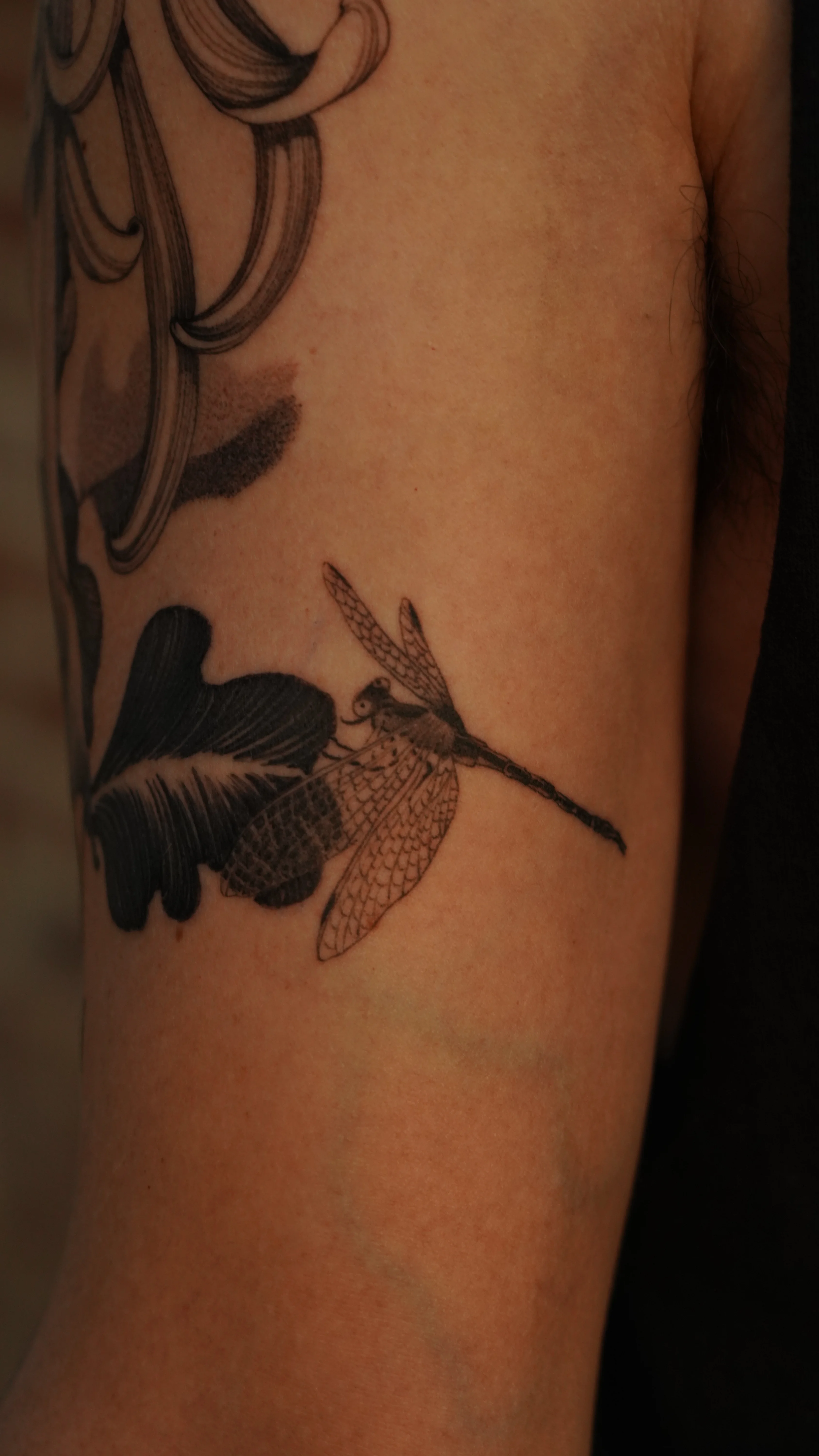 Fine Line tattoo by Sam Leng