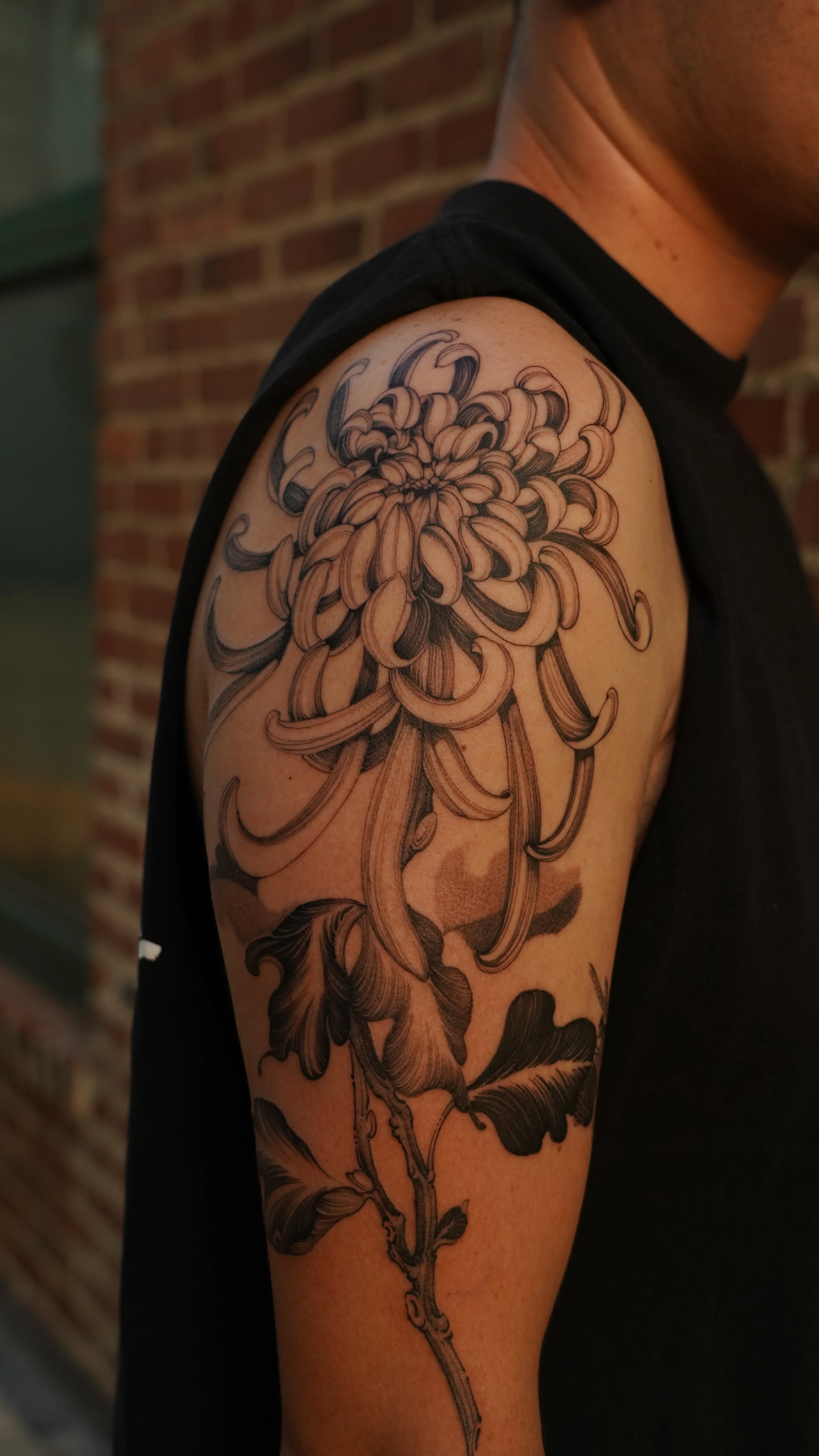 Black & Gray Realism tattoo by Sam Leng: chrysanthemum flower, leaves, stem, floral