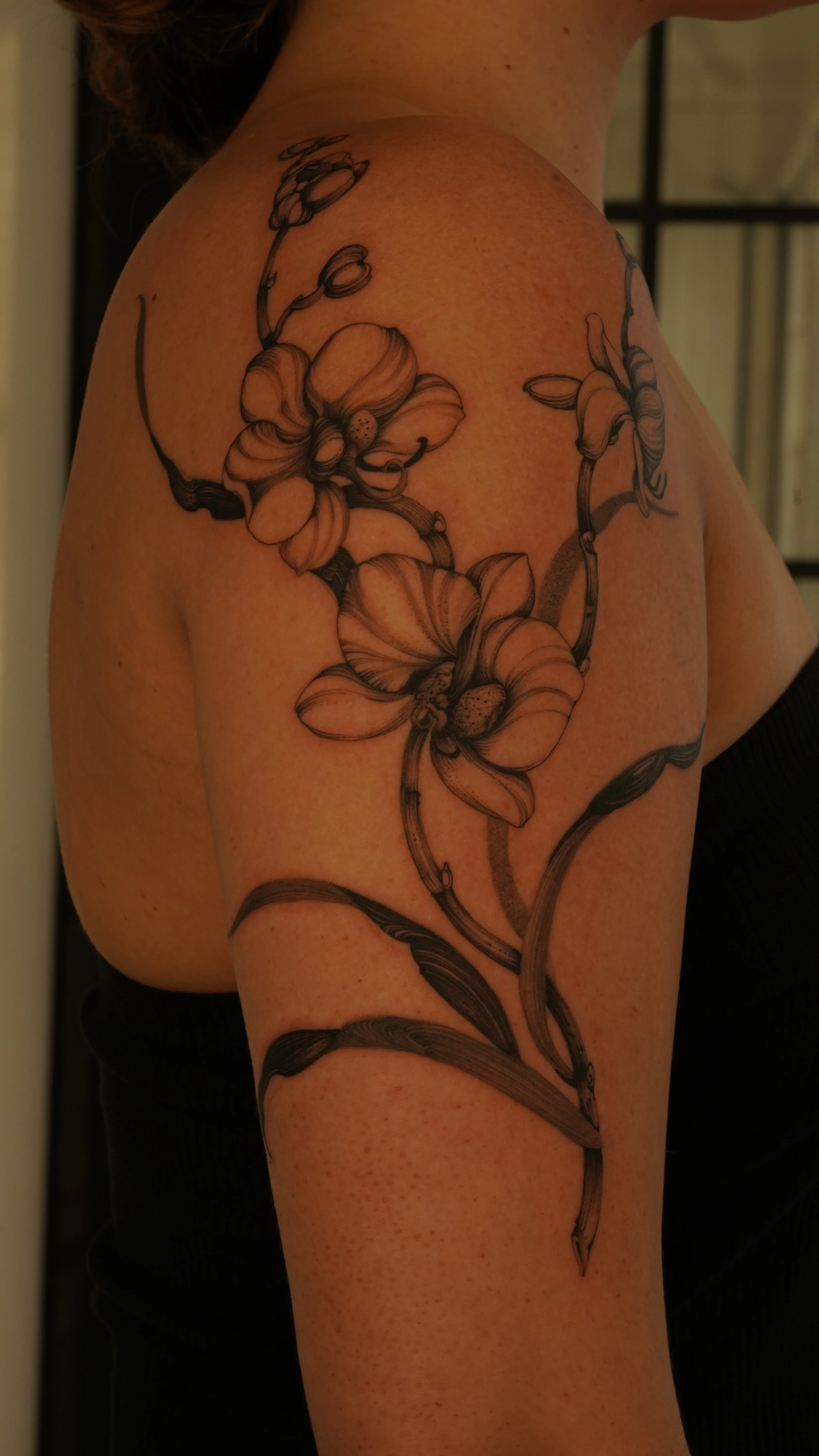 Black & Gray Realism tattoo by Sam Leng: orchid, flower, stem, leaf