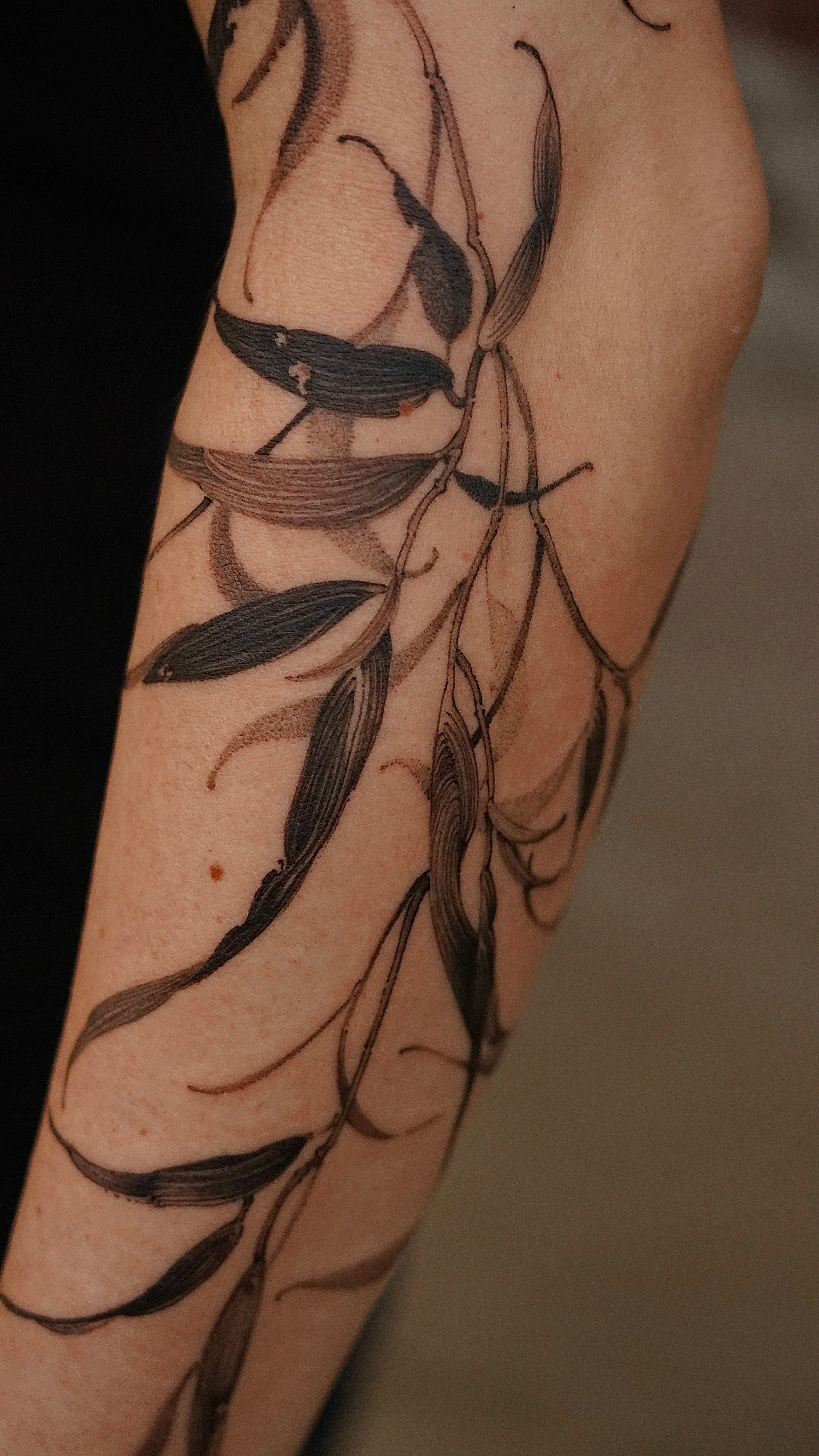 Blackwork tattoo by Sam Leng: leaves, branches, stems, nature