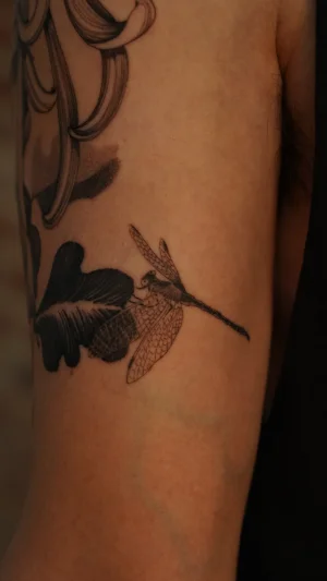 Little Illustrative Dragonfly on Arm
