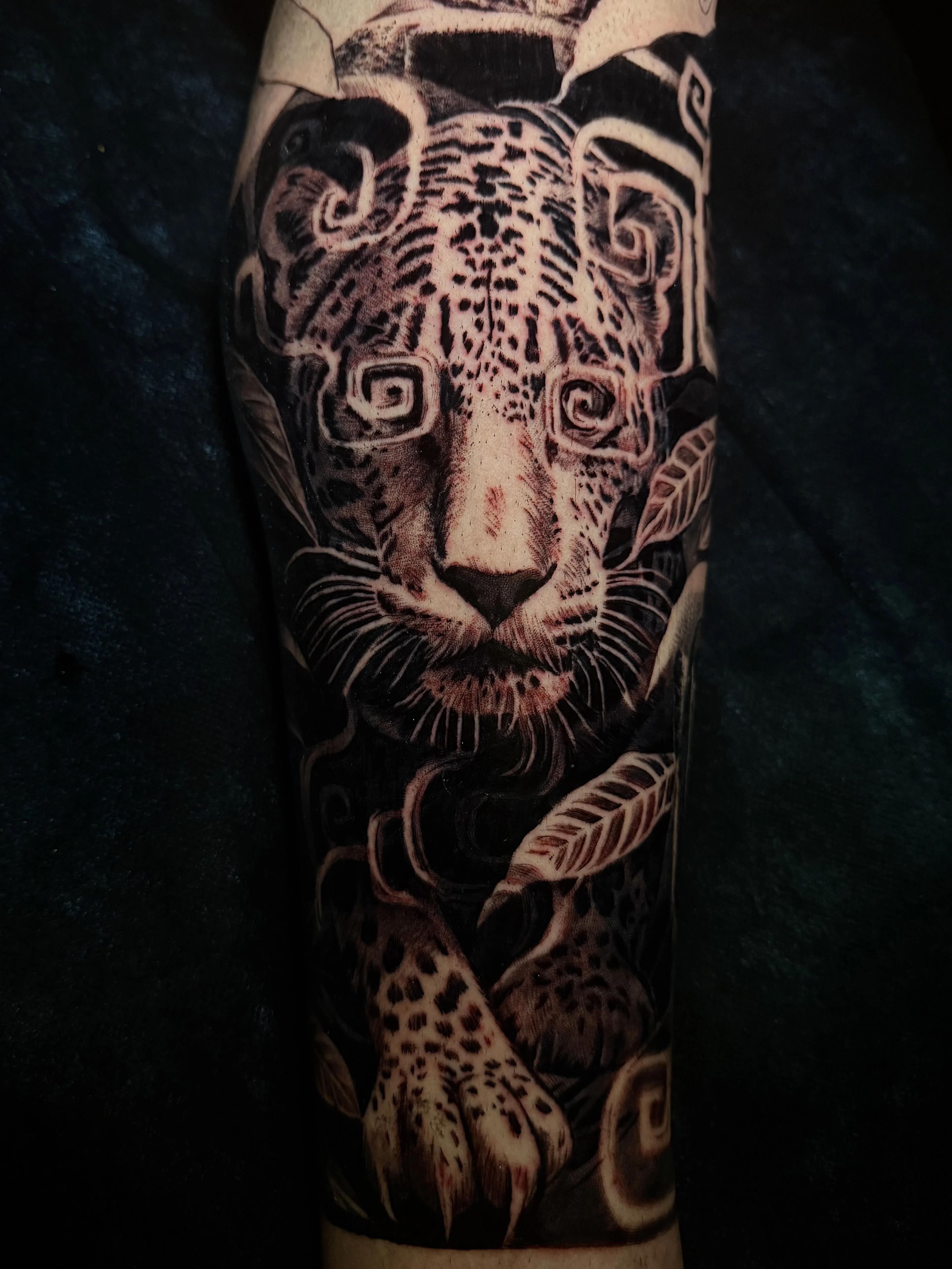 Black & Gray Realism tattoo by Danny Romeo Orellana Tat2one: jaguar, leaves, animal, nature