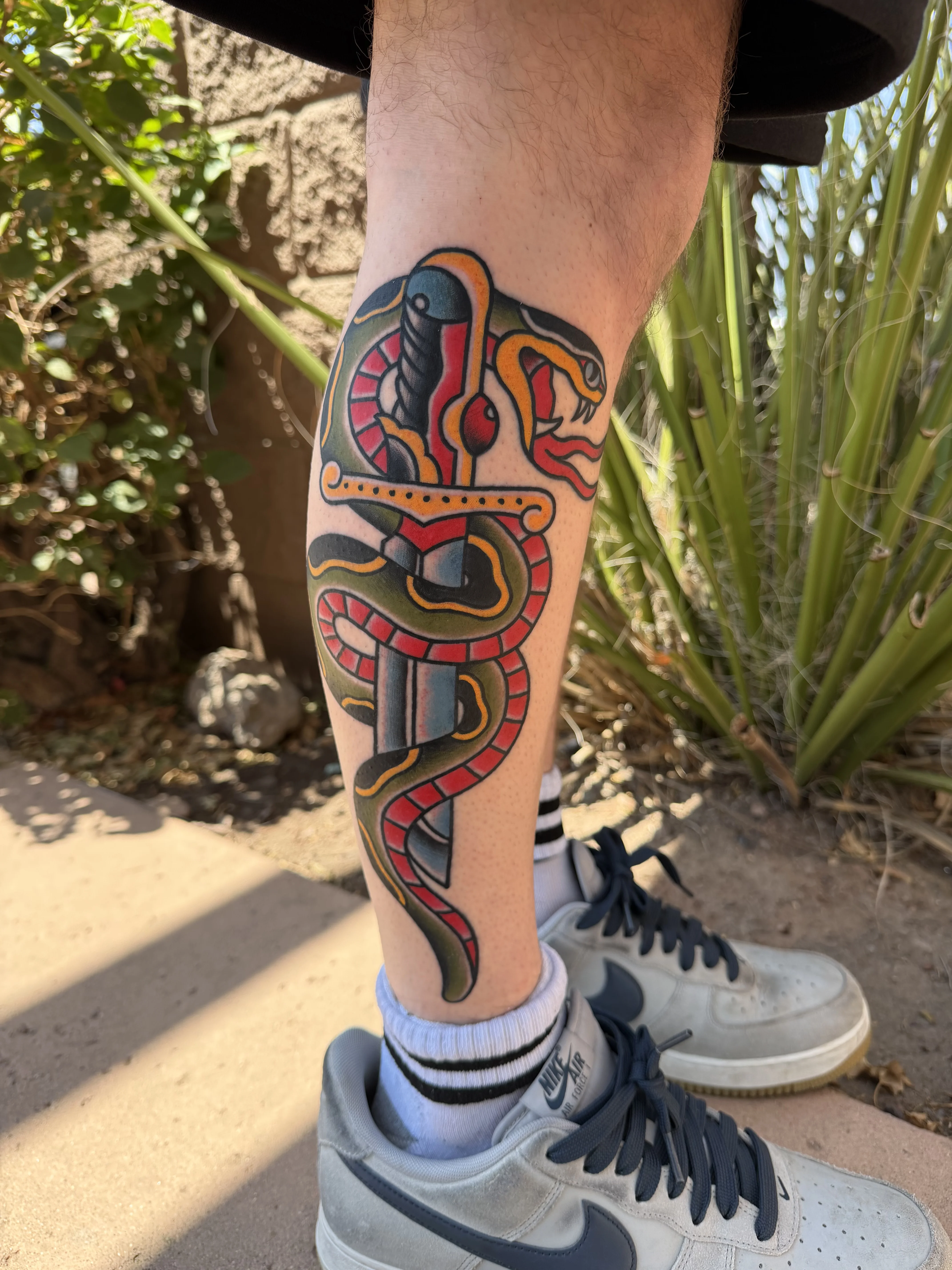 Traditional tattoo by Don Don: snake, dagger, animal, traditional