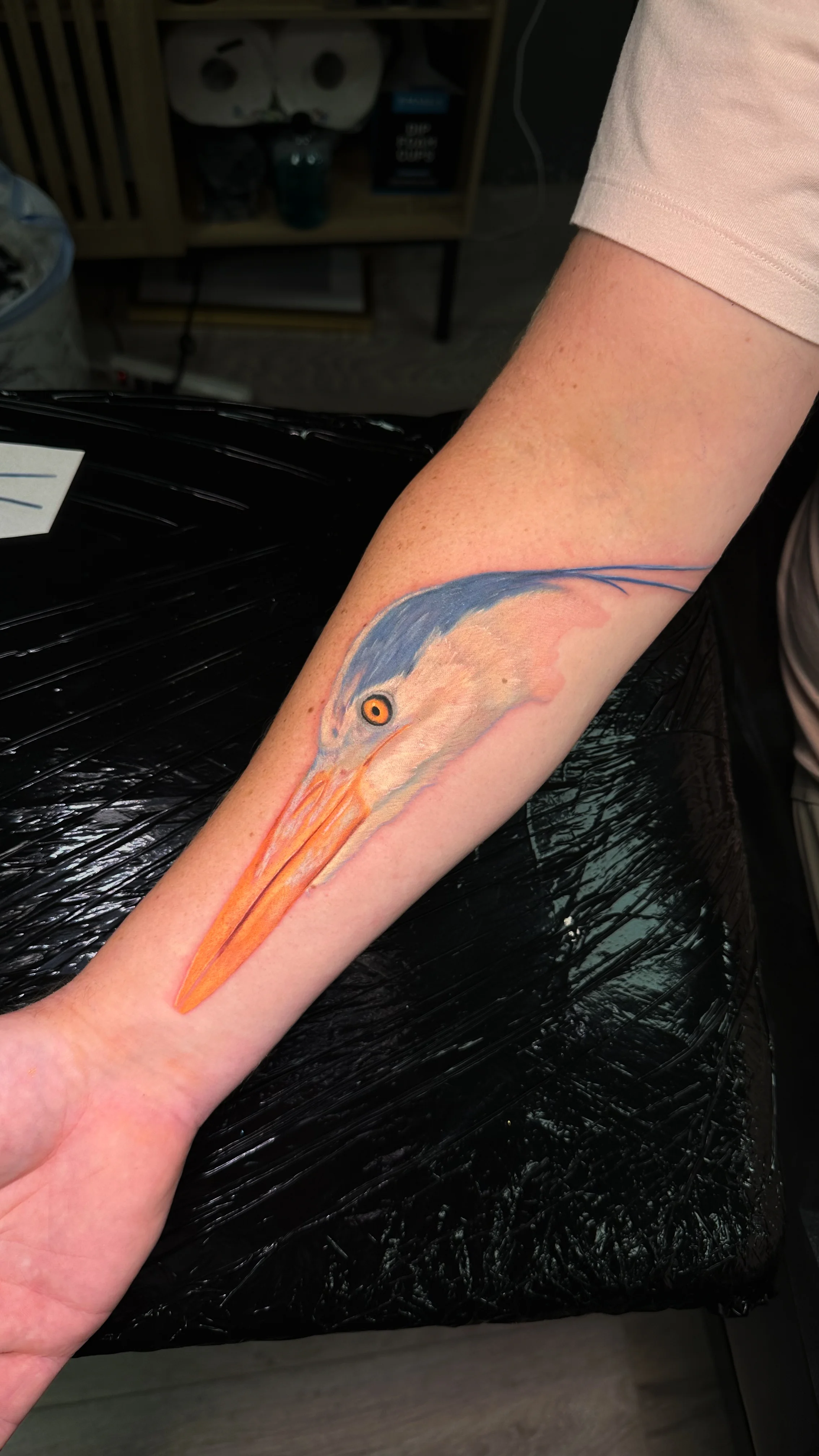 Realistic Heron Head Forearm: heron, bird head, beak, eye, nature, animal