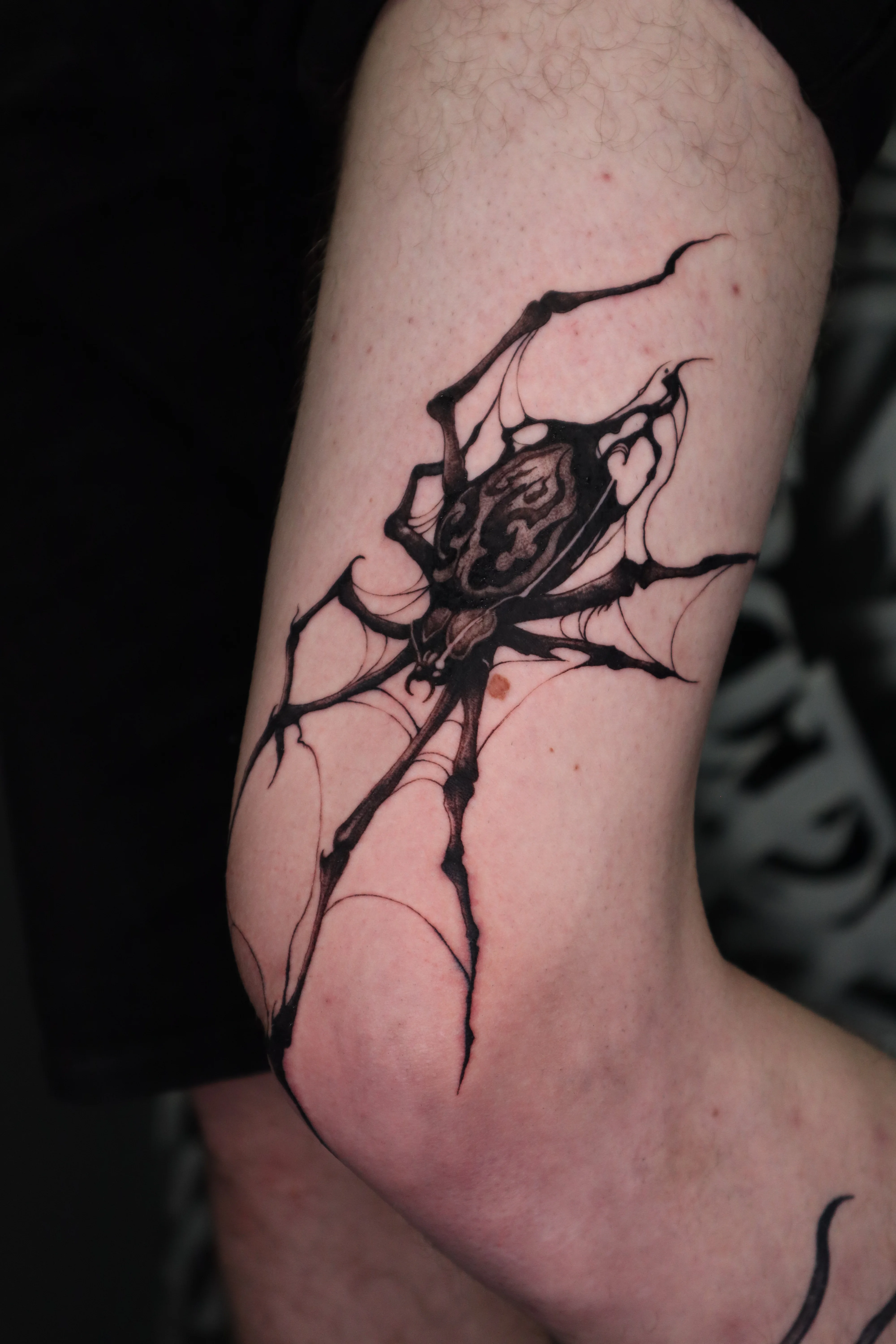 Neo-Traditional tattoo by Ser. Alex: black and grey realism, color realism, fine line, old school, new school, neo traditional