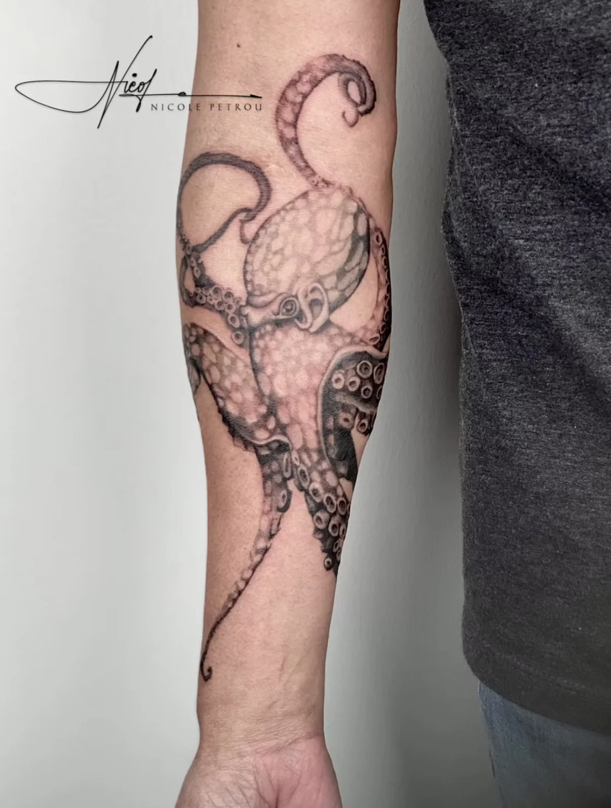 Realistic Octopus Forearm: octopus, tentacles, suckers, animal, nature, ocean