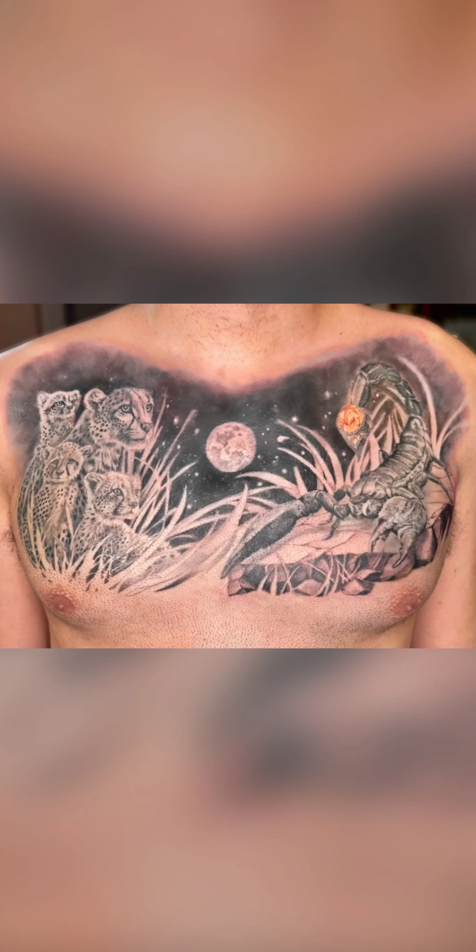 Black & Gray Realism tattoo by Nicole Petrou: scorpion, cheetah, moon, grass